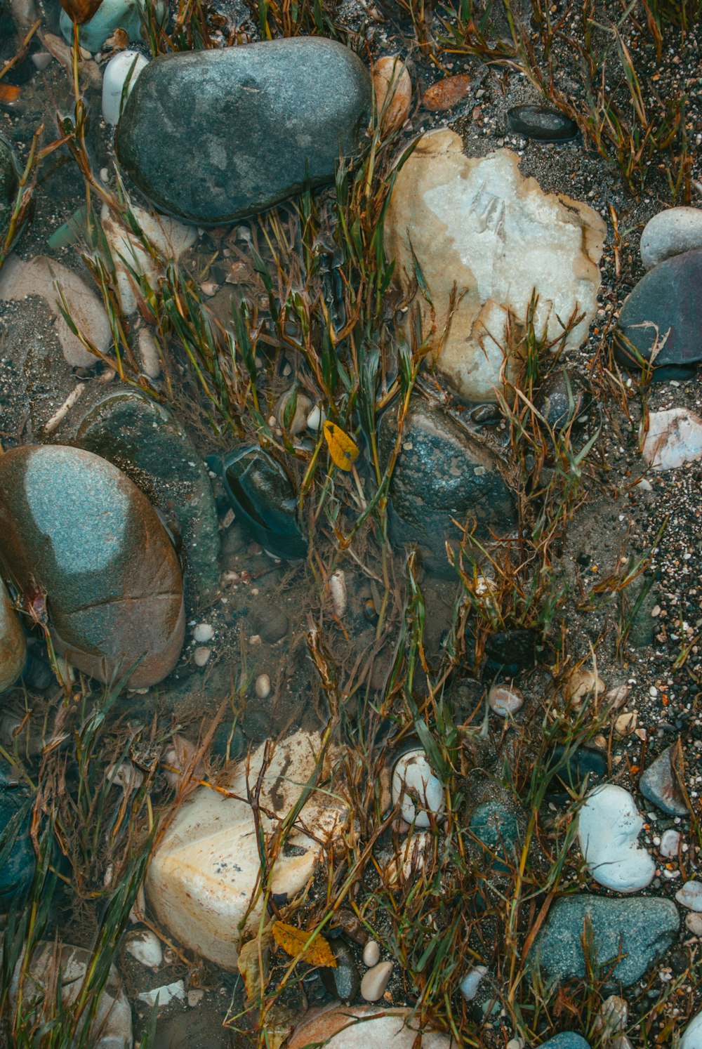 a bunch of rocks and grass on the ground