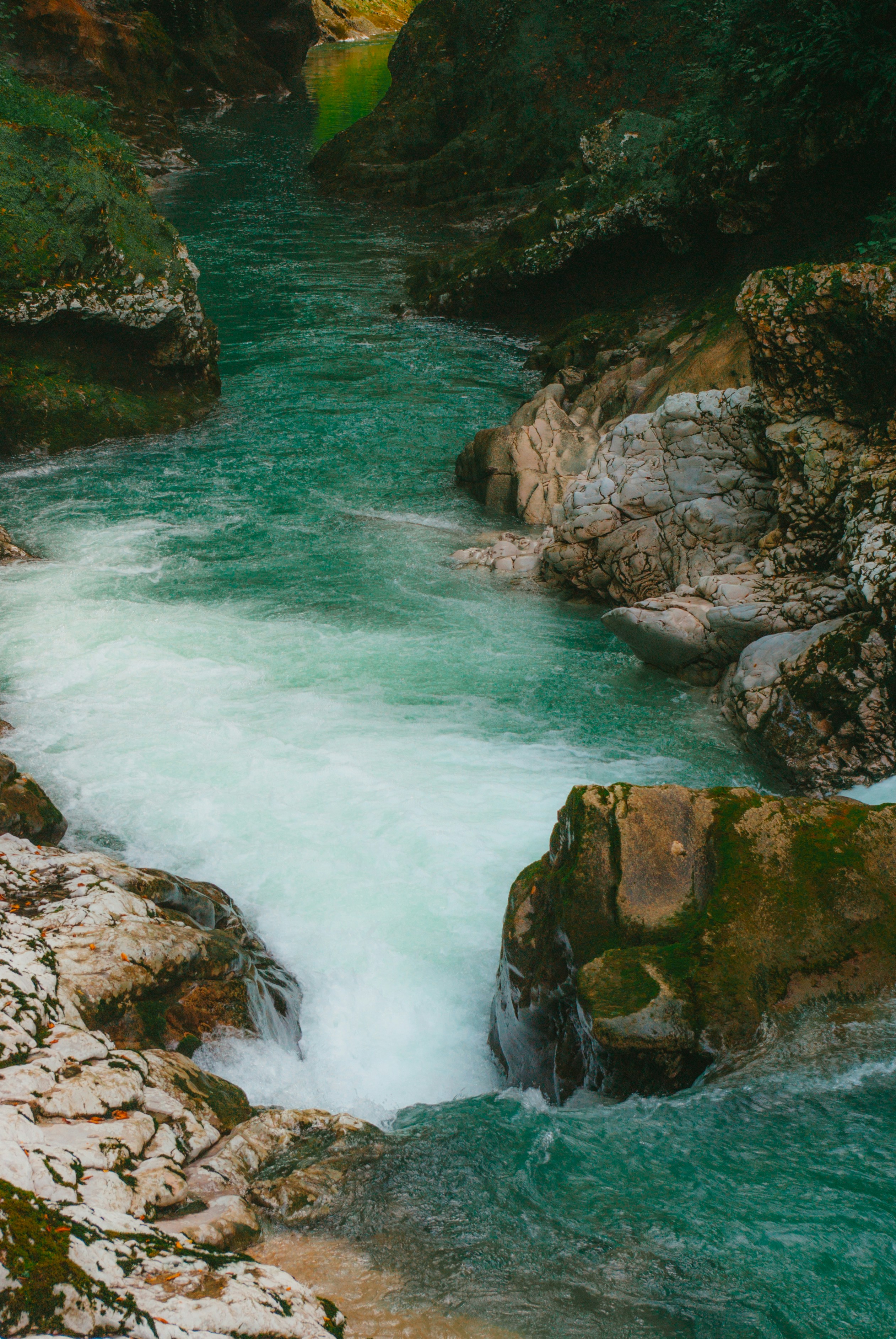 Photo by moonmoons_days