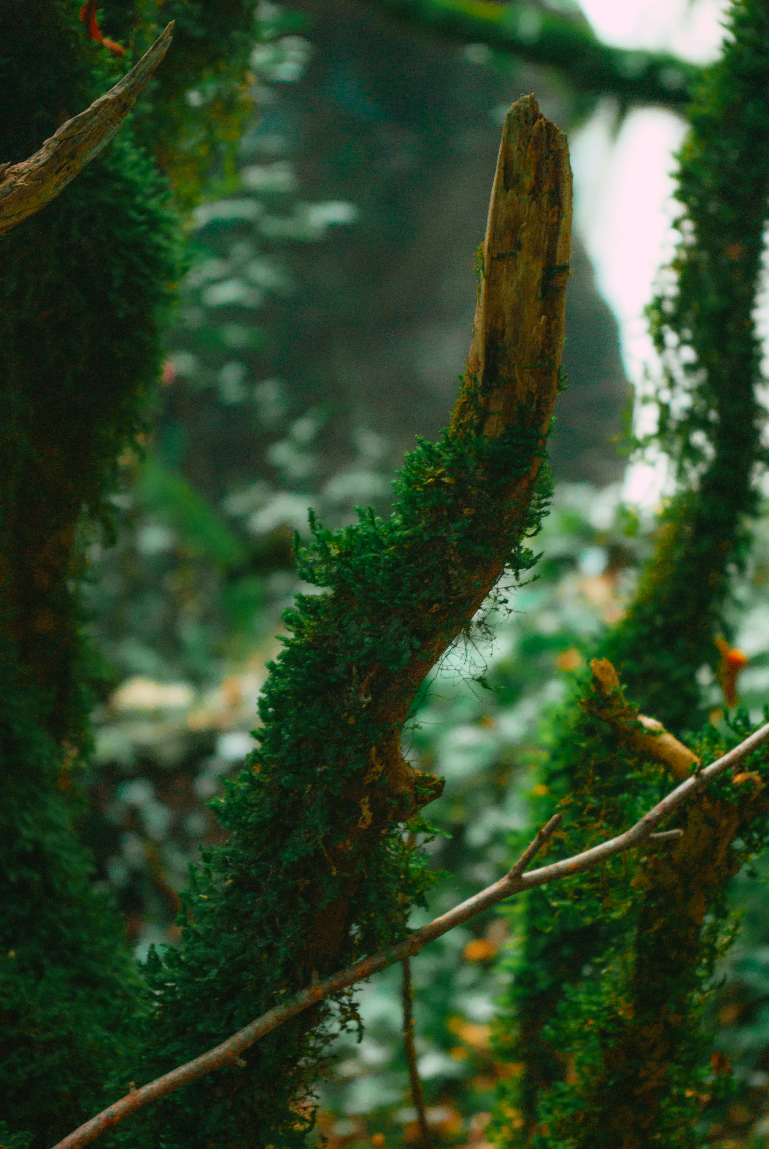 Photo by moonmoons_days