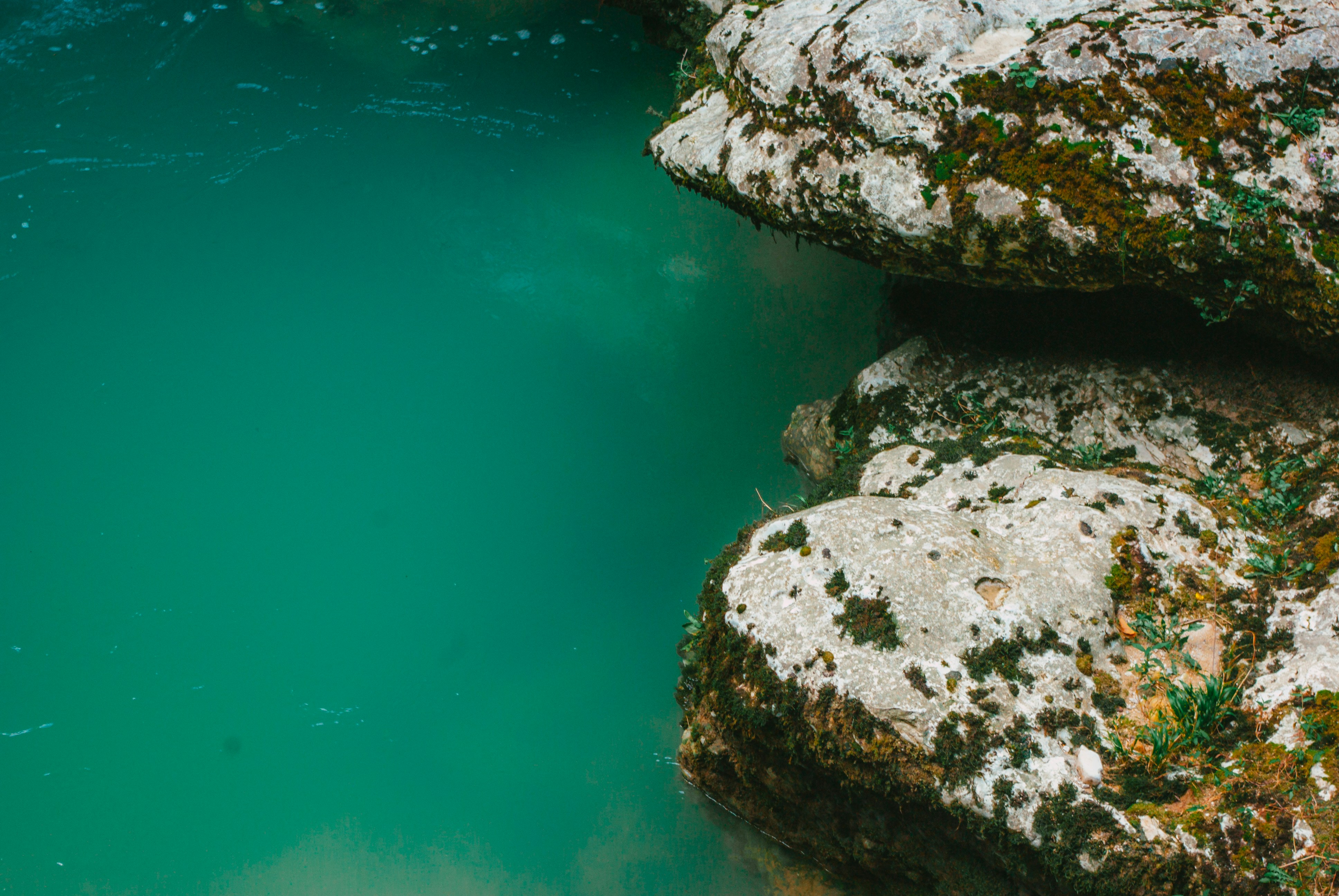 Photo by moonmoons_days