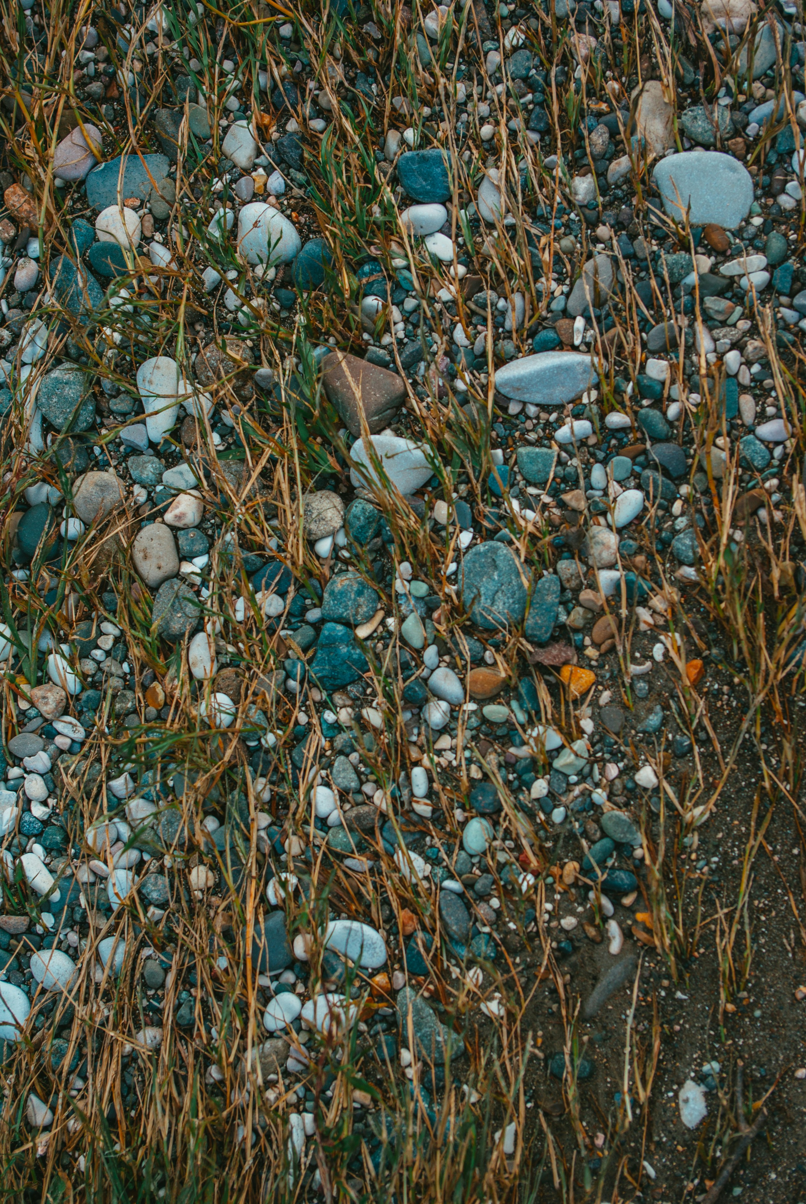 Photo by moonmoons_days