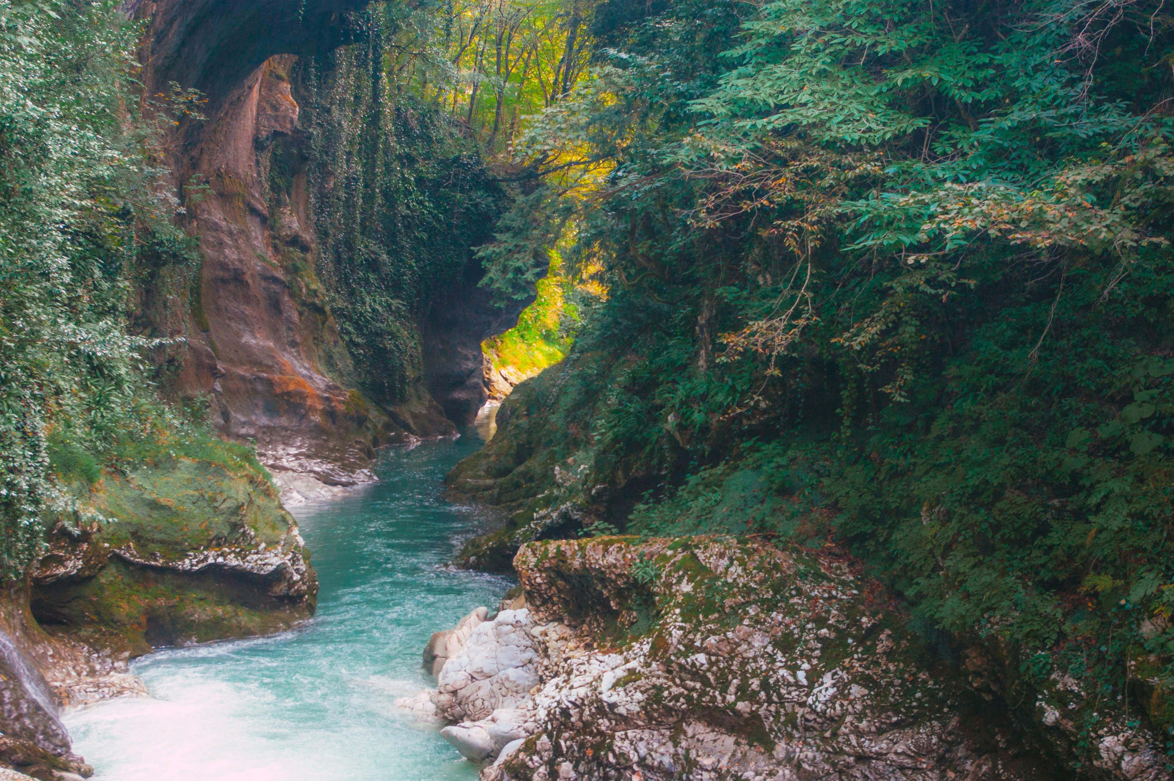 Photo by moonmoons_days