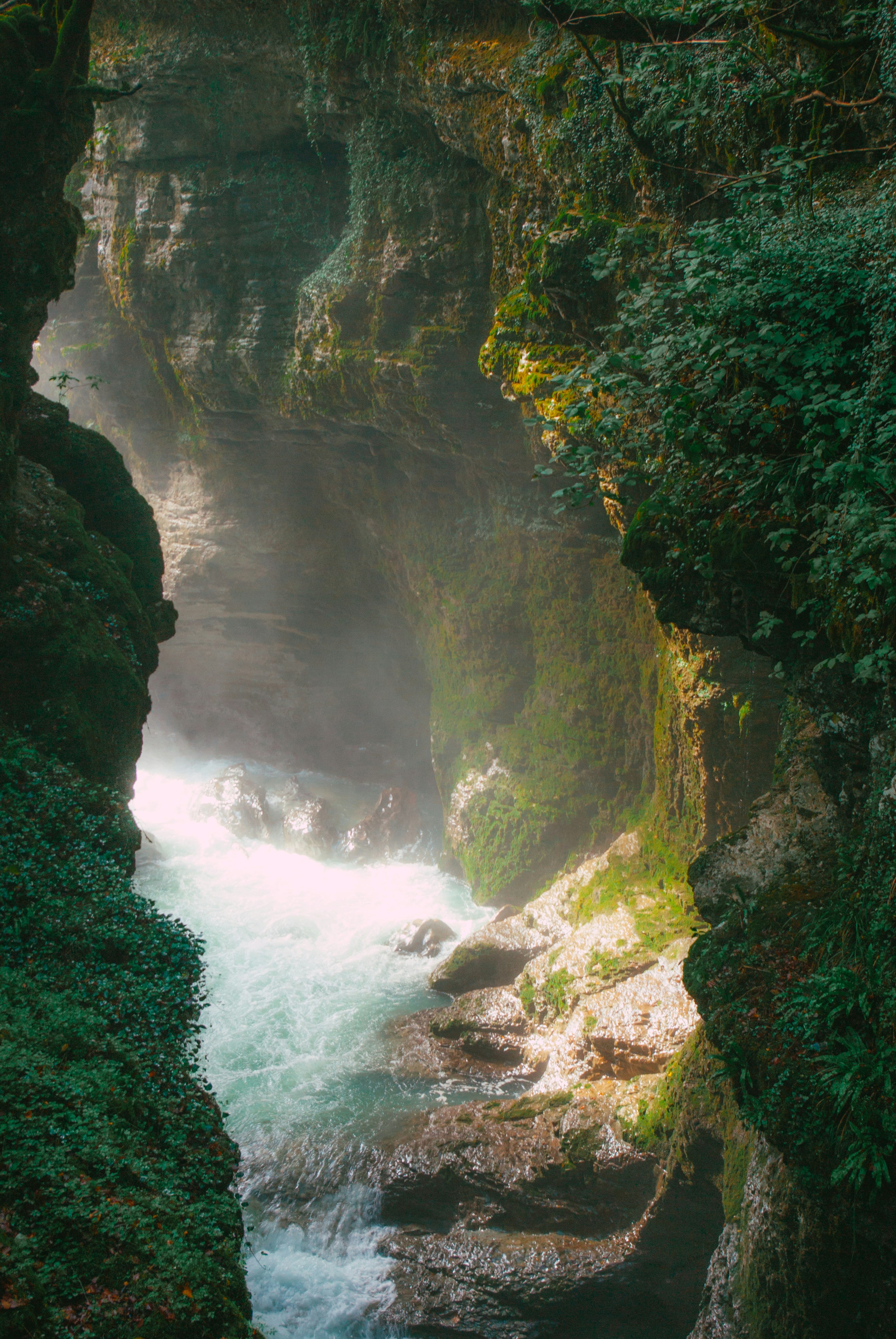 Photo by moonmoons_days