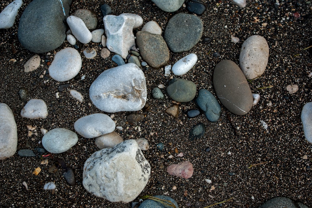 a bunch of rocks sitting on top of a dirt ground