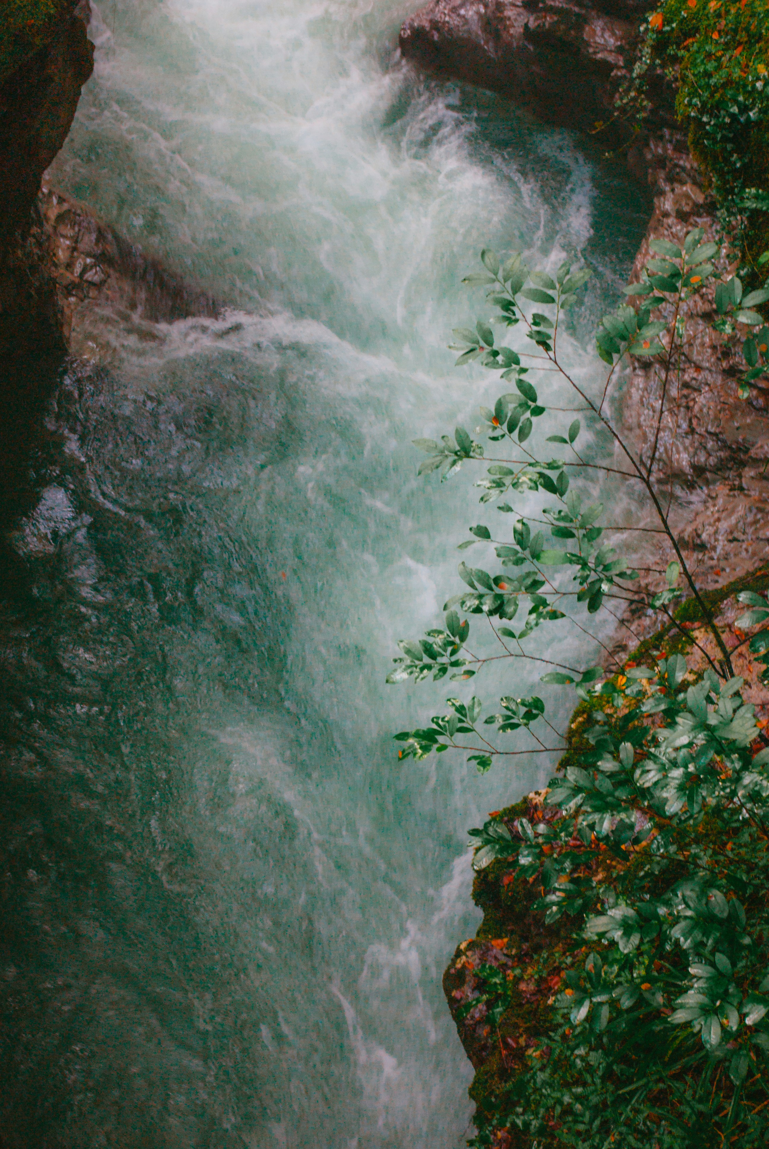 Photo by moonmoons_days