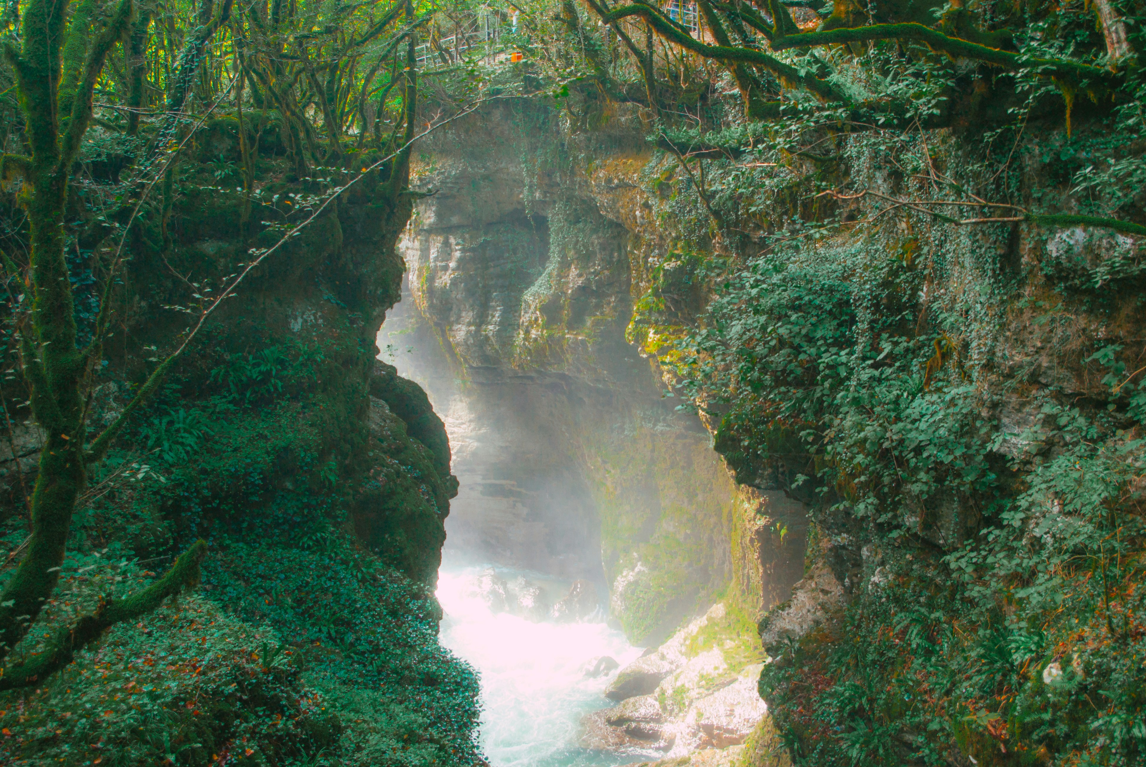 Photo by moonmoons_days