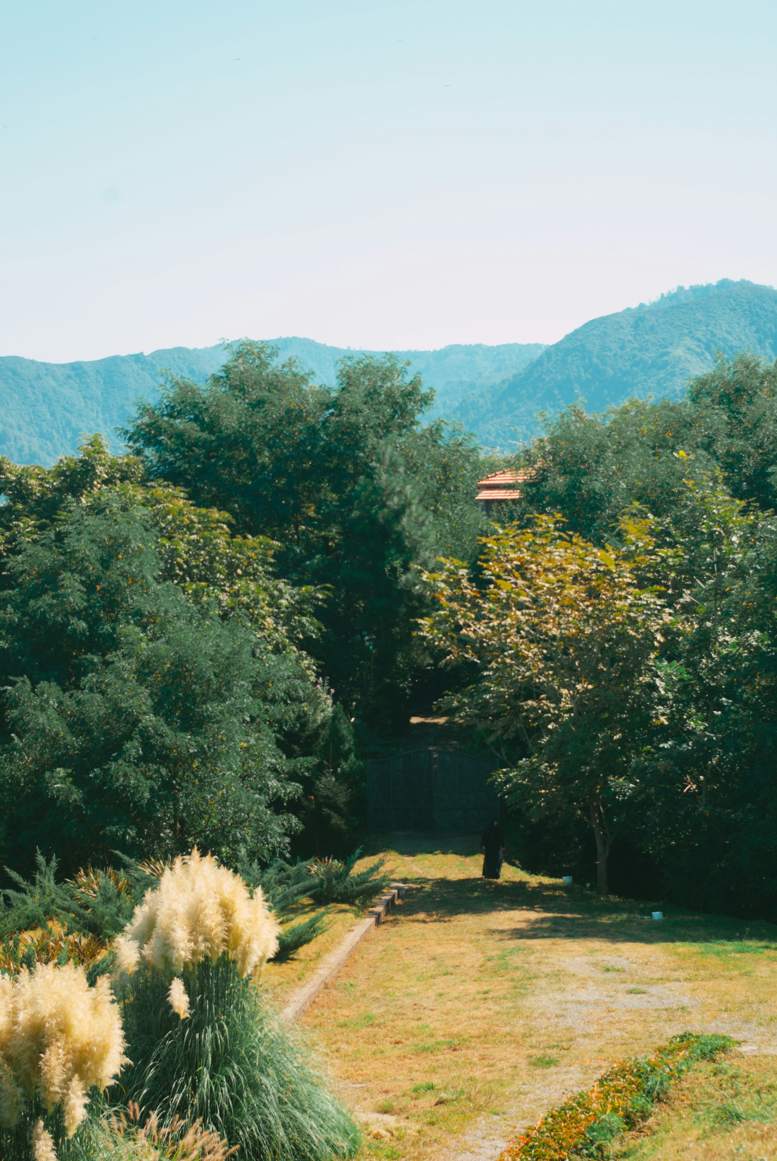 Photo by moonmoons_days