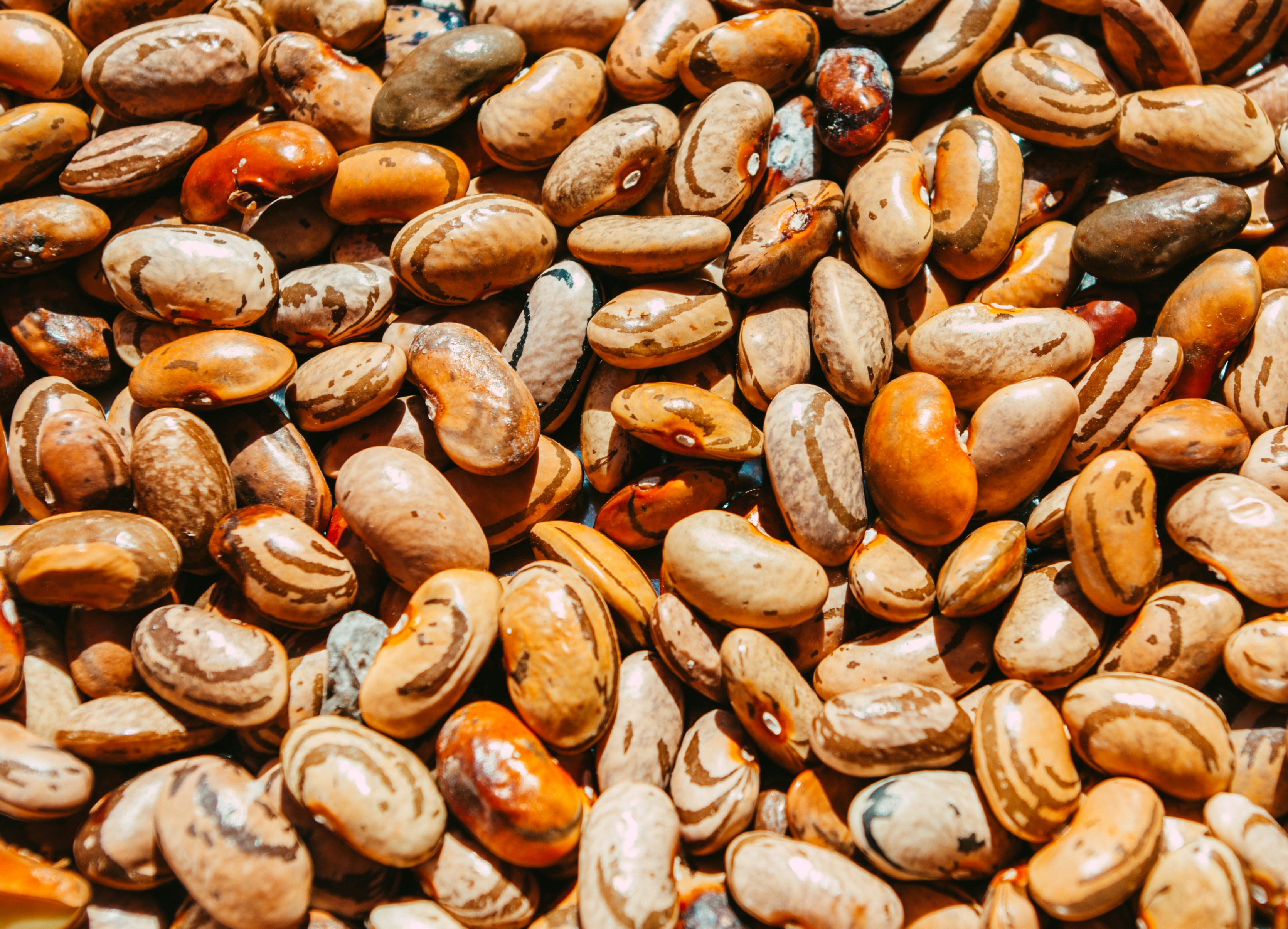 Photo by moonmoons_days