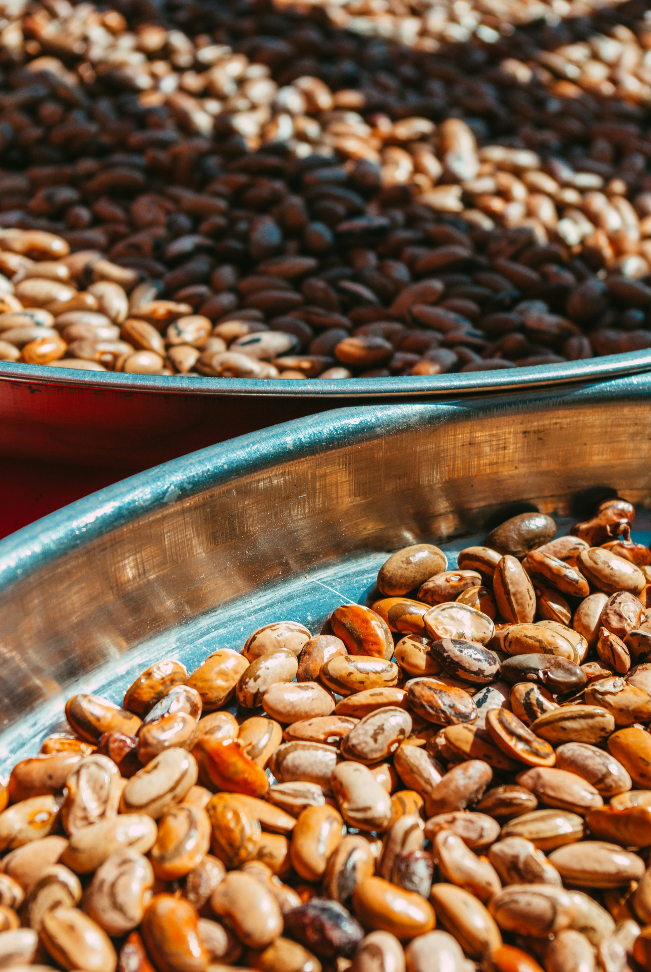 Photo by moonmoons_days