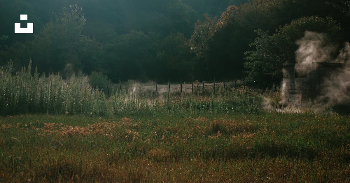 Steam rises from the ground in a field photo – Free Nature Image on ...
