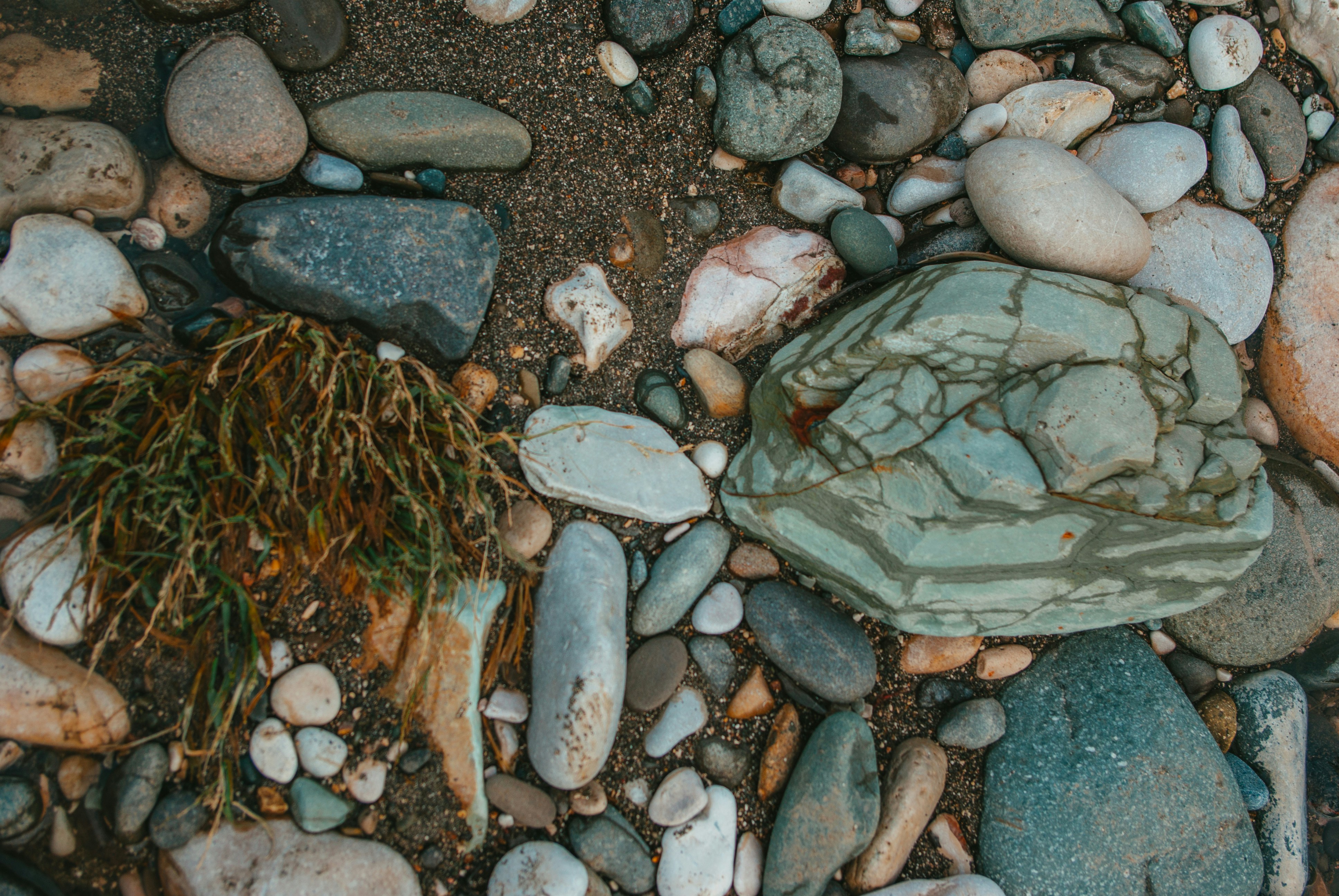 Photo by moonmoons_days