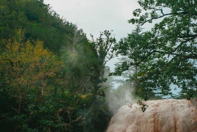A dense forest with lush green foliage surrounds a natural hot spring. Steam rises from the spring, creating a misty atmosphere among the trees. The landscape is vibrant with various shades of green contrasting with the pale tones of the springs.