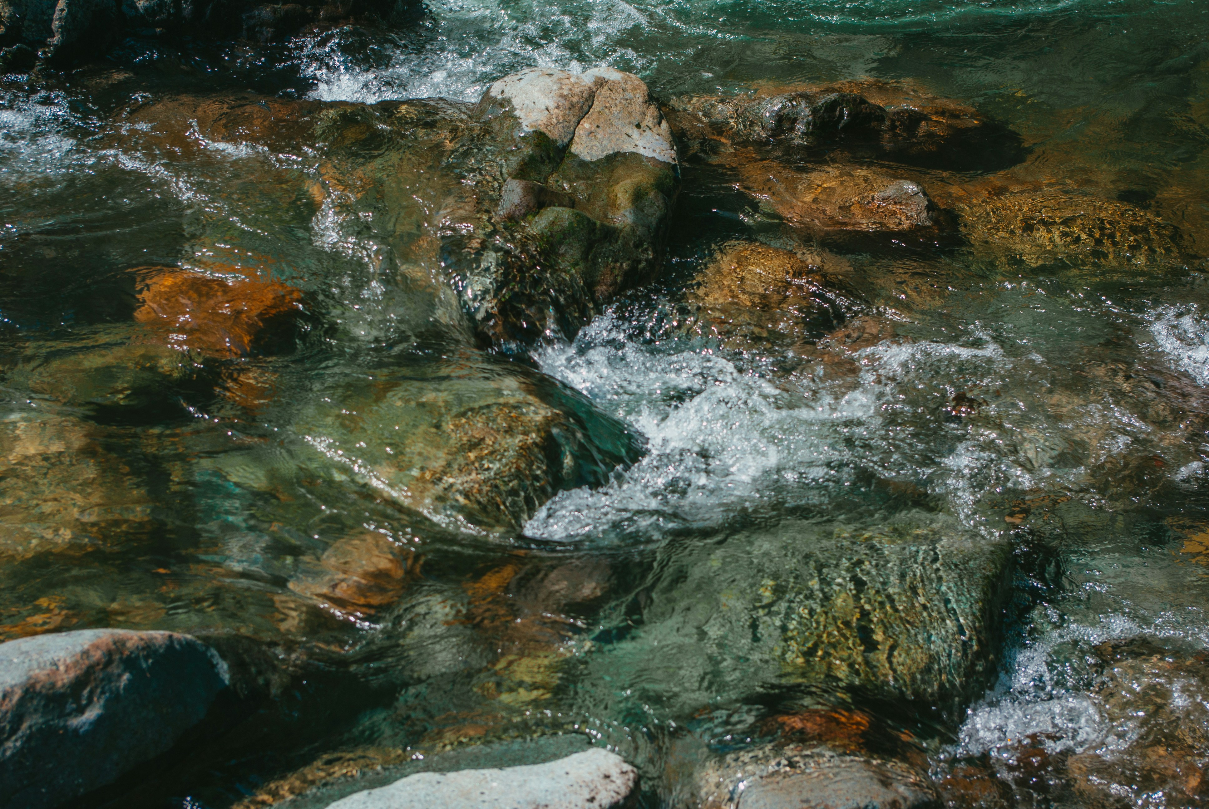 Photo by moonmoons_days