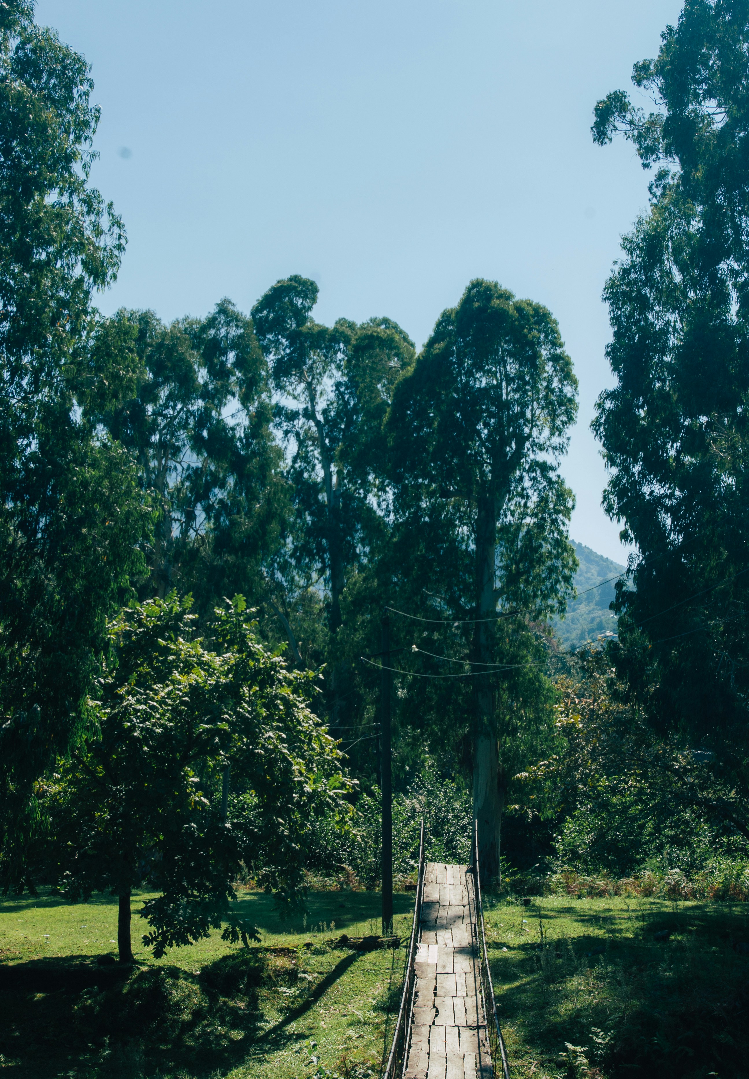 Photo by moonmoons_days