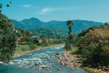 a river running through a lush green forest