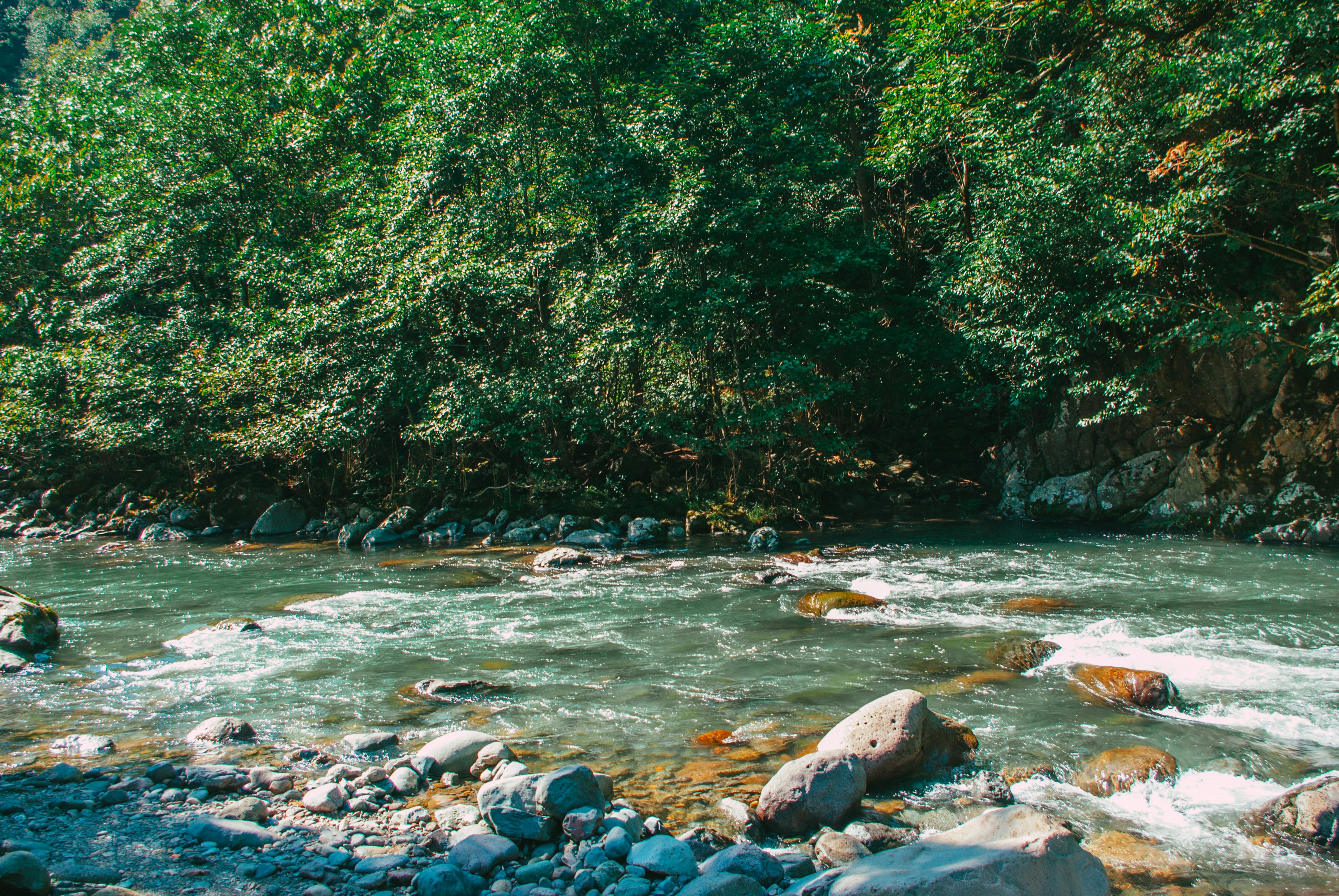 Photo by moonmoons_days