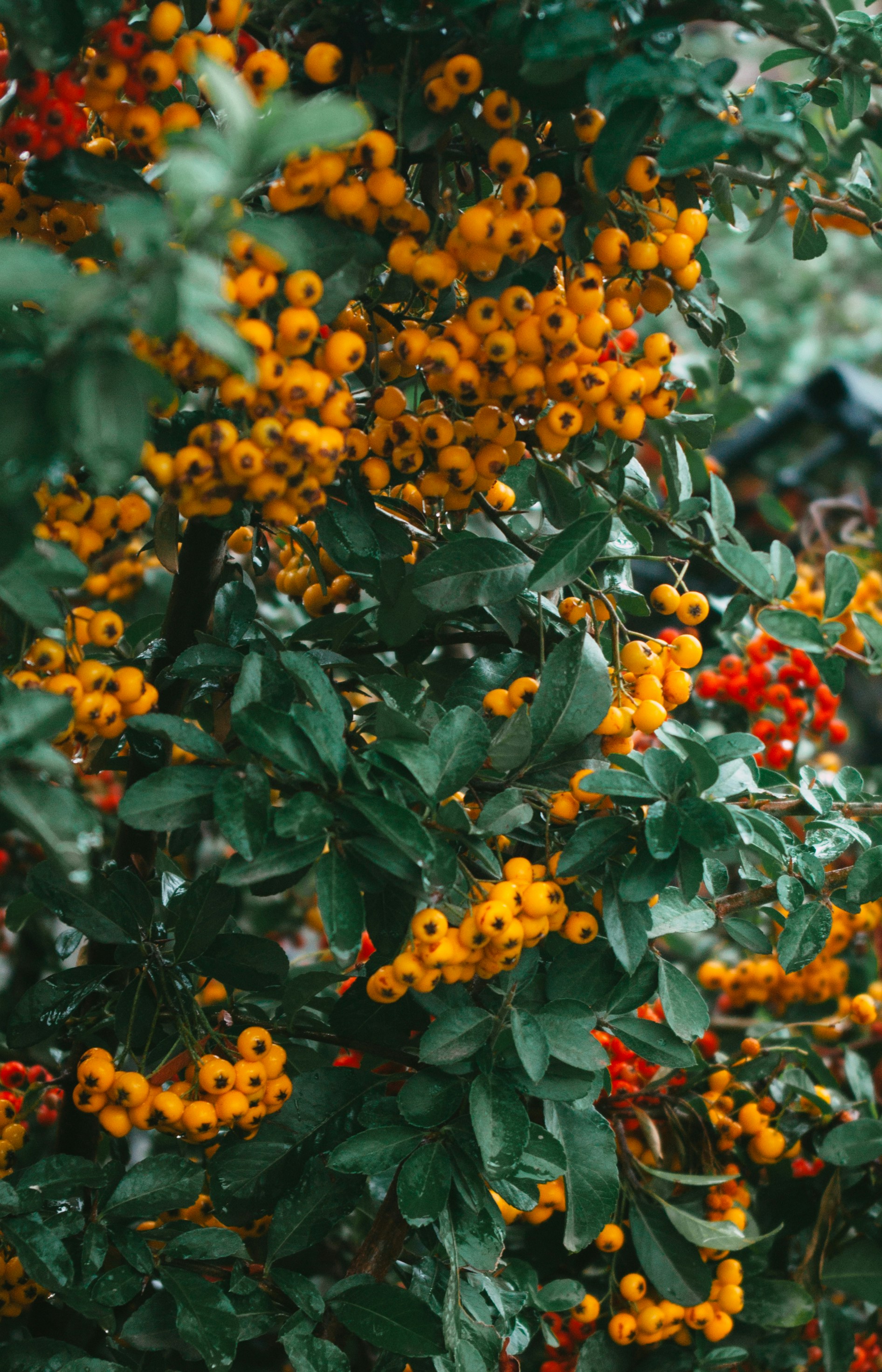 Photo by moonmoons_days