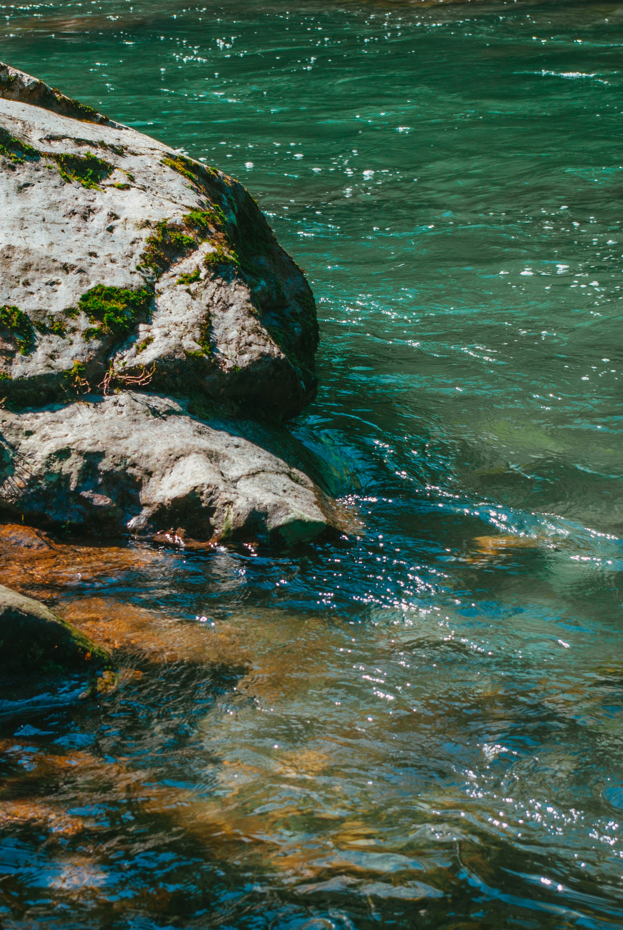 Photo by moonmoons_days