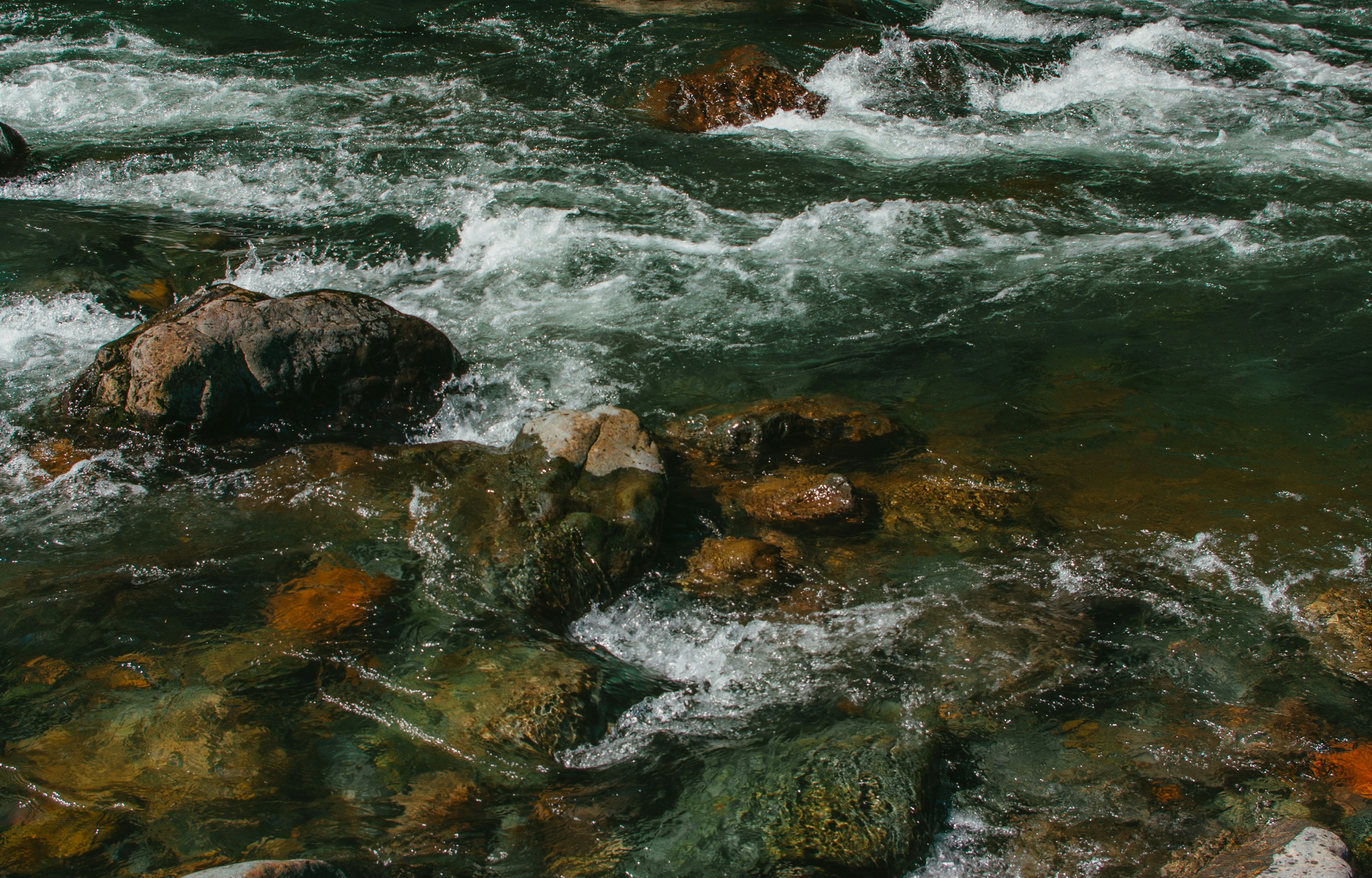 Photo by moonmoons_days