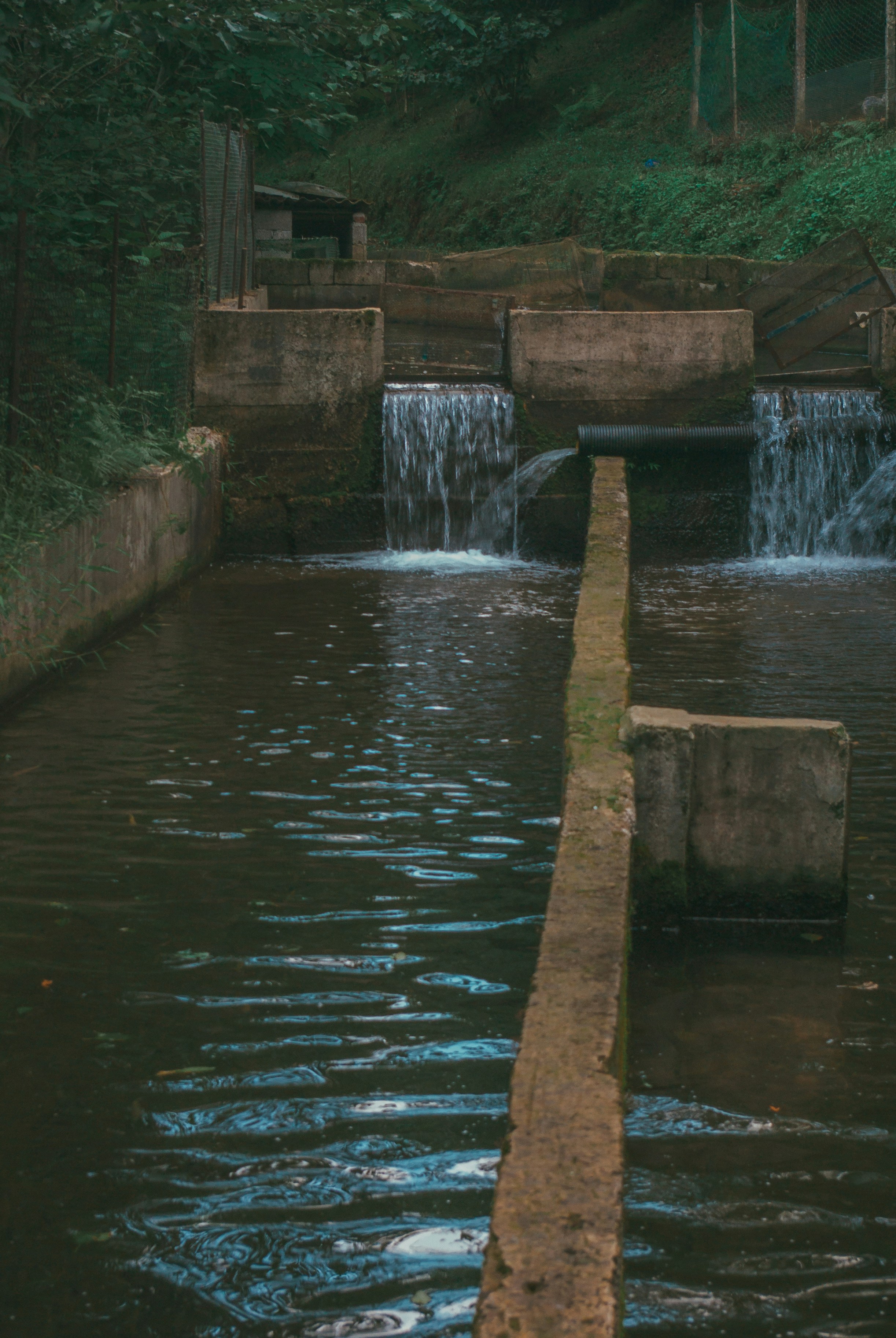 Photo by moonmoons_days