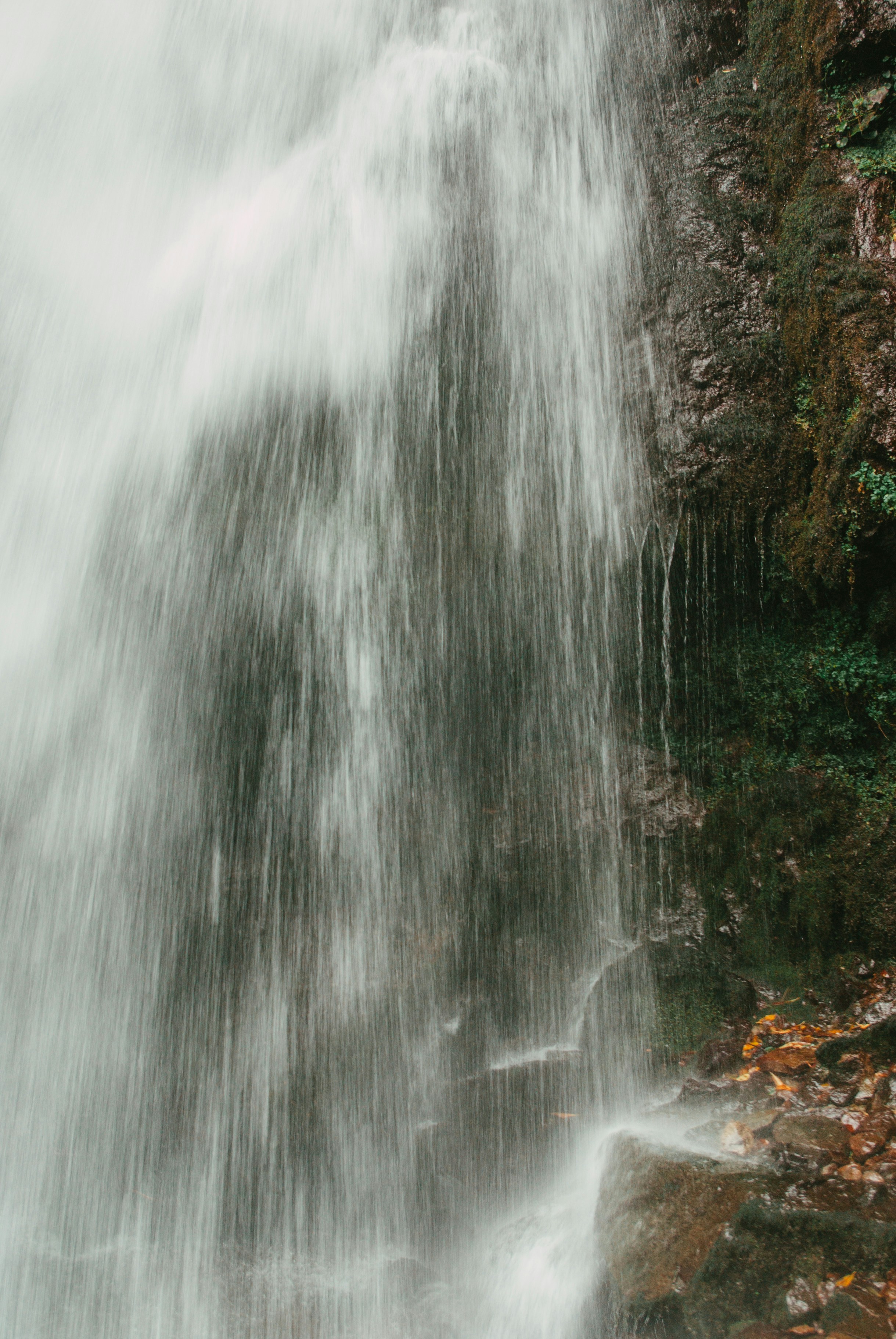 Photo by moonmoons_days