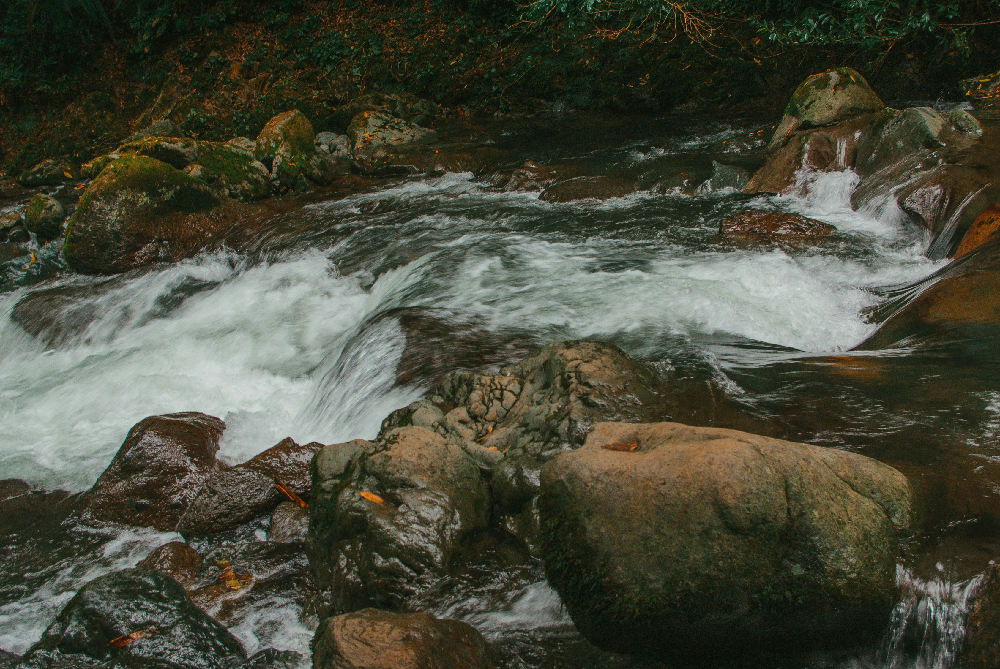 Photo by moonmoons_days