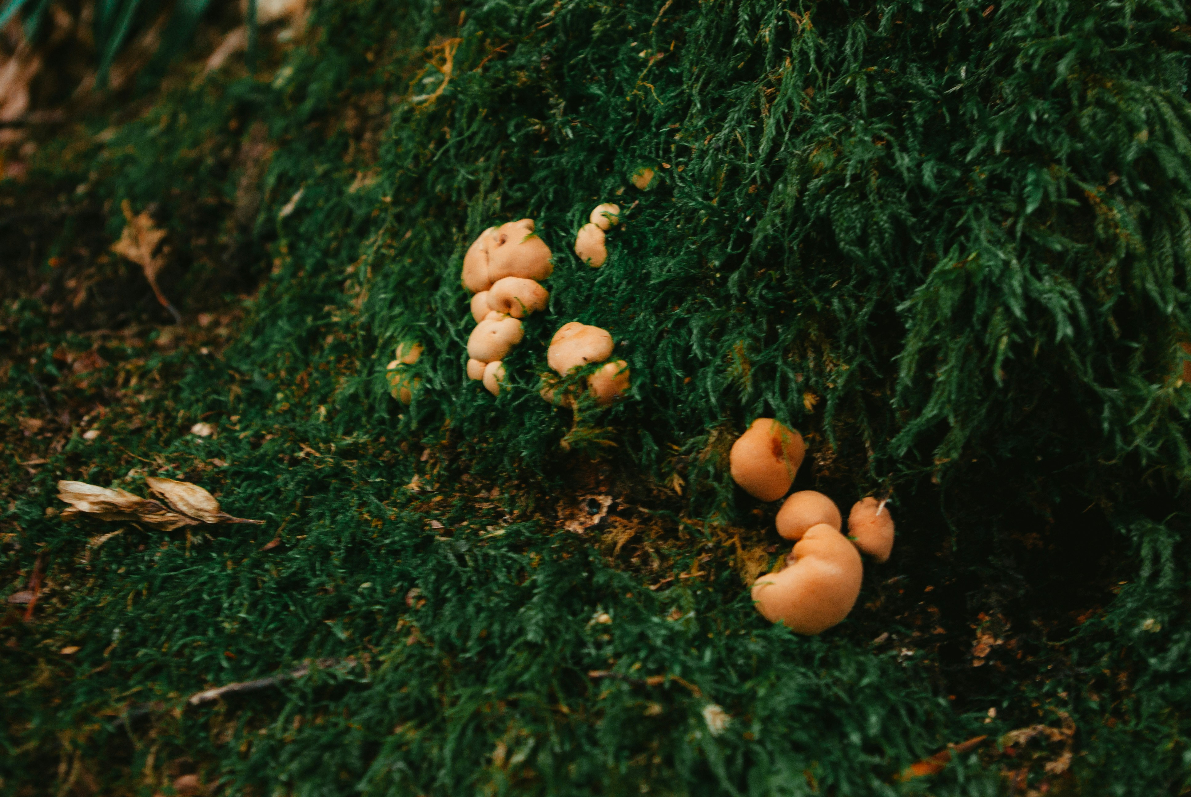 Photo by moonmoons_days