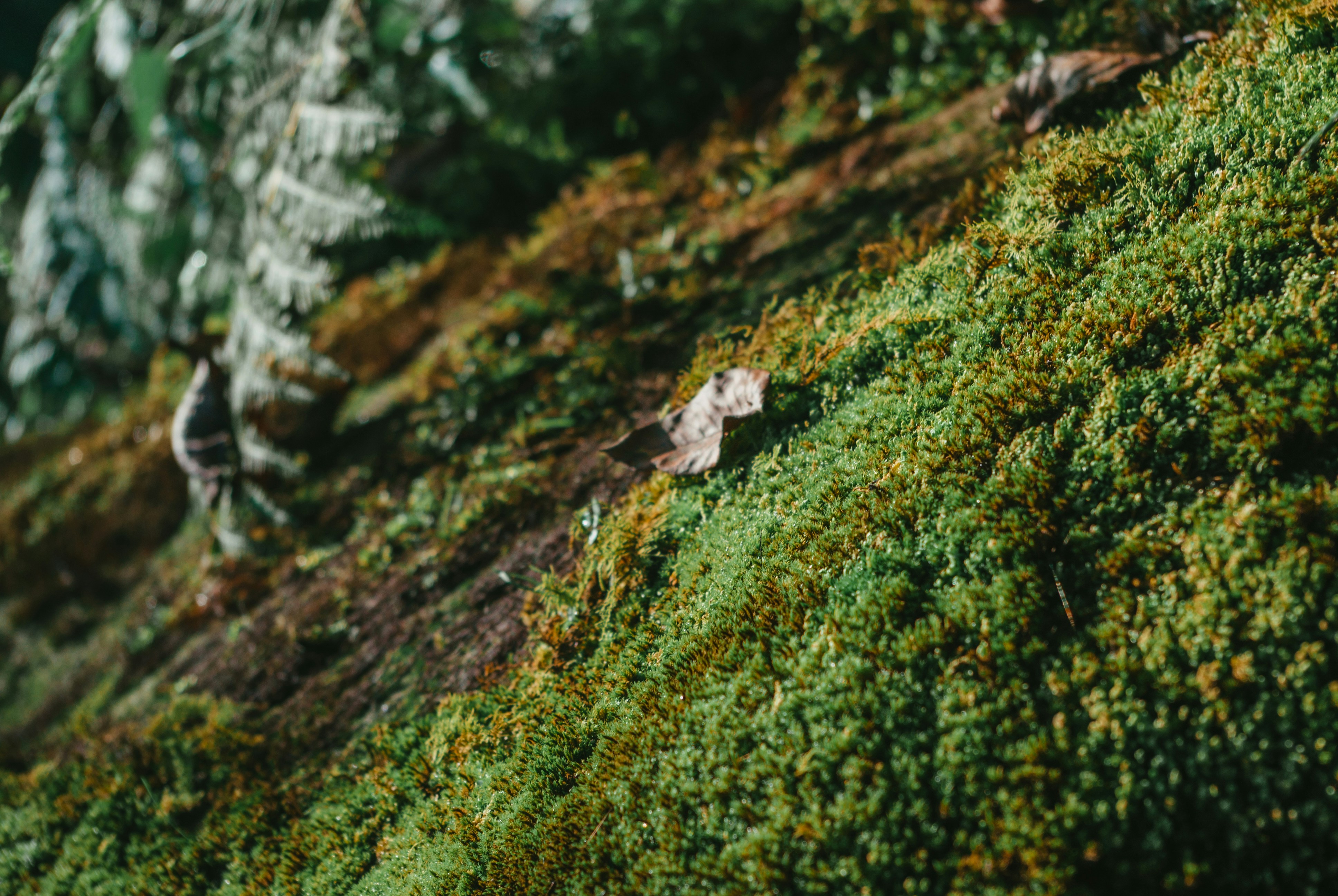 Photo by moonmoons_days