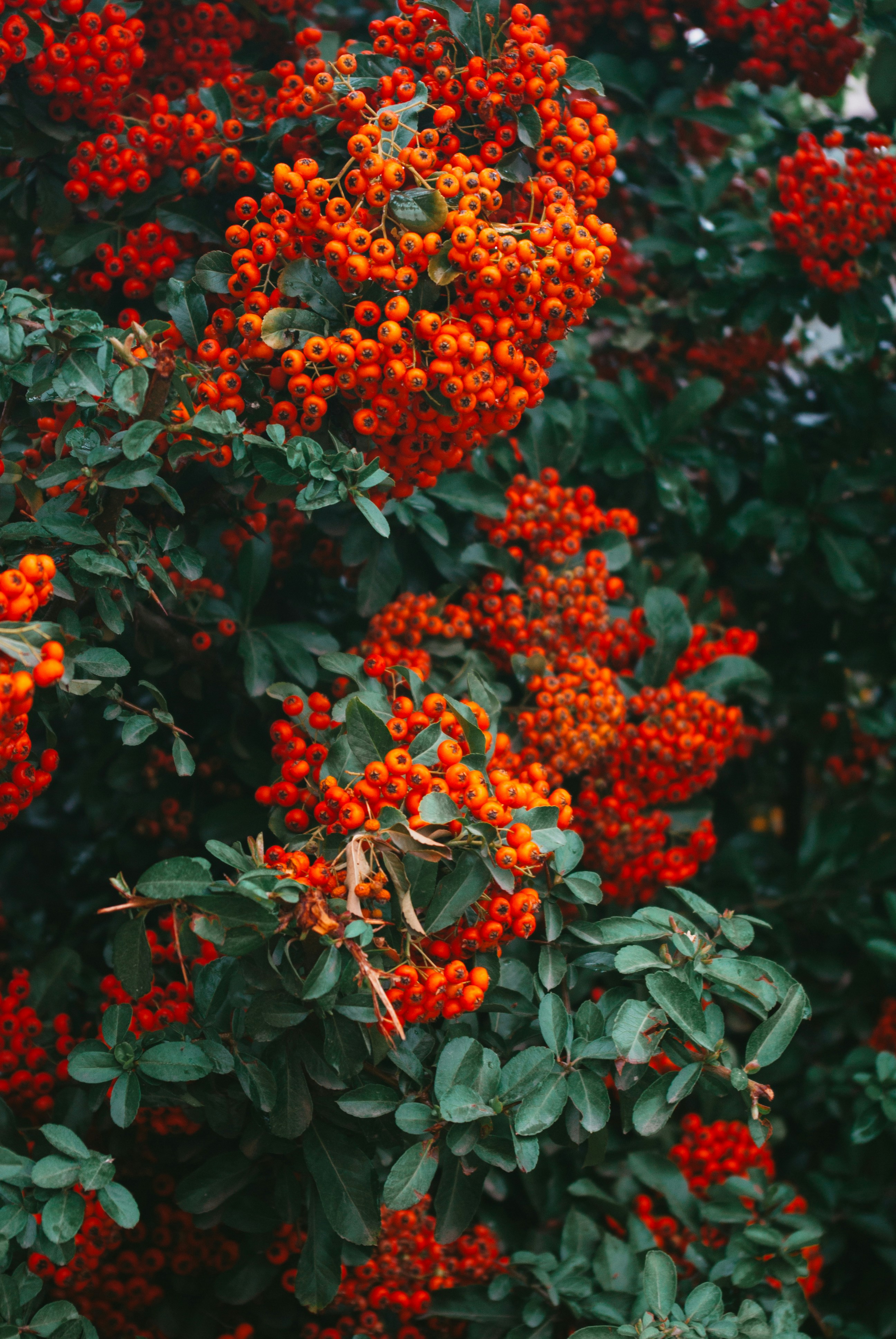 Photo by moonmoons_days