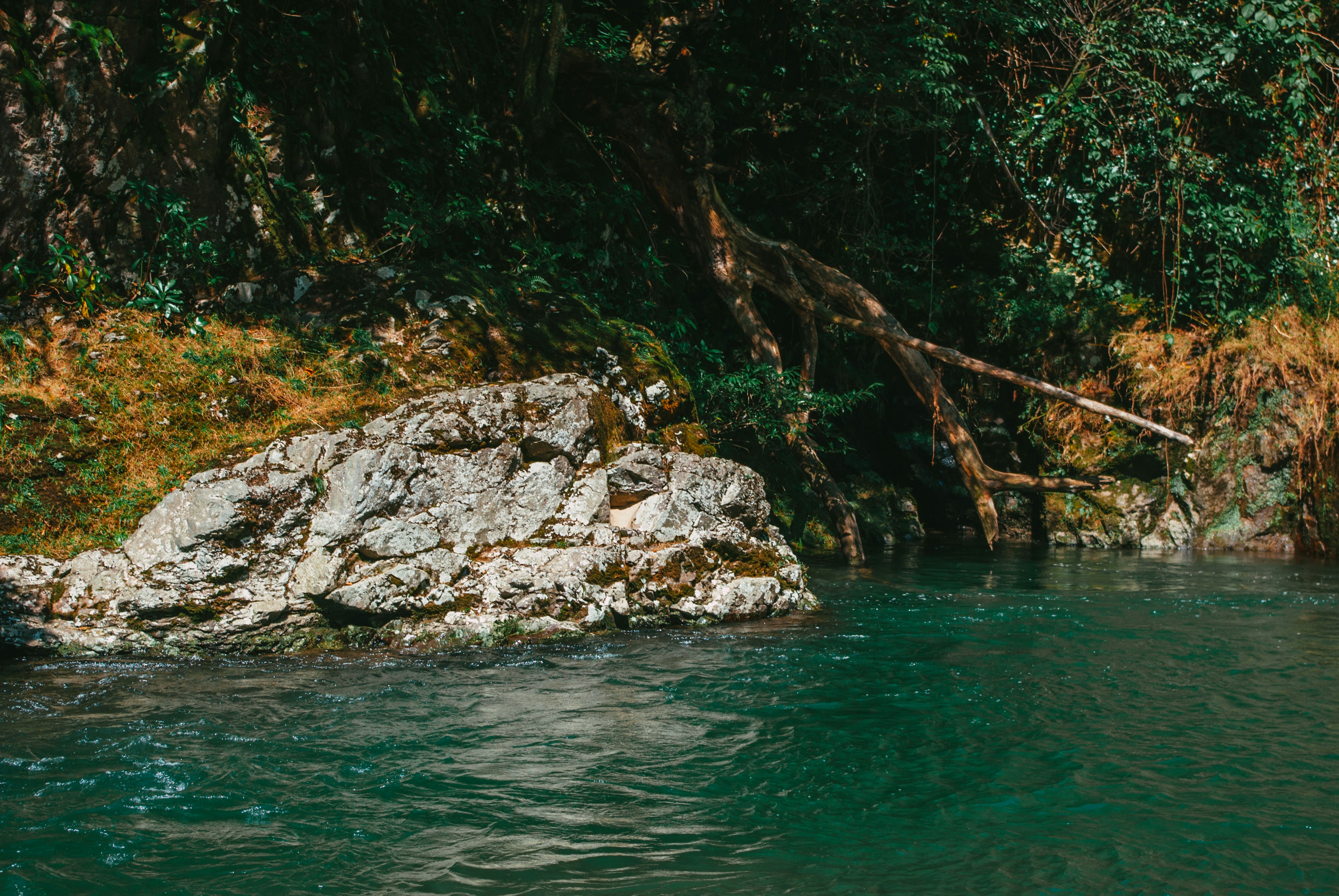 Photo by moonmoons_days