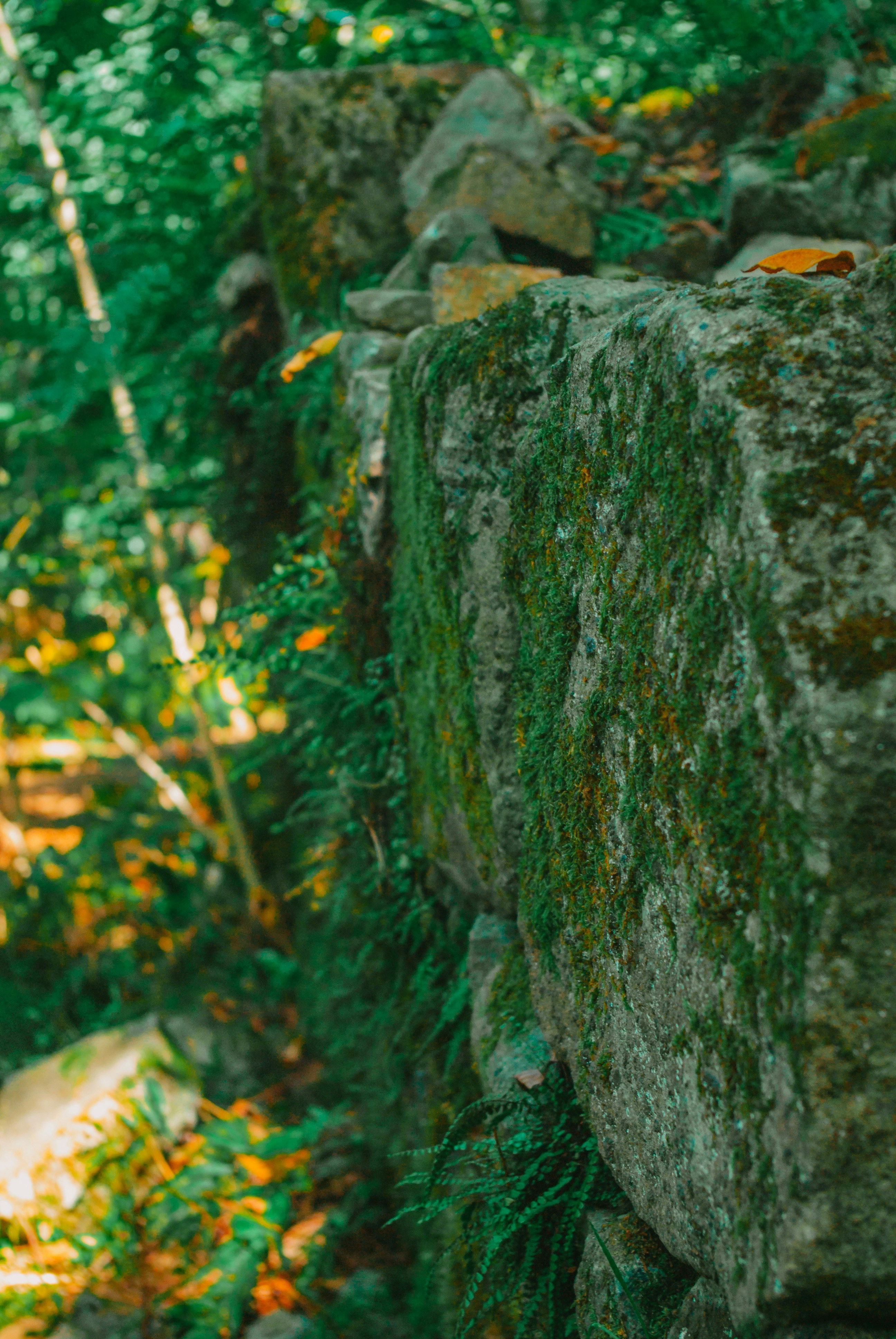 Photo by moonmoons_days