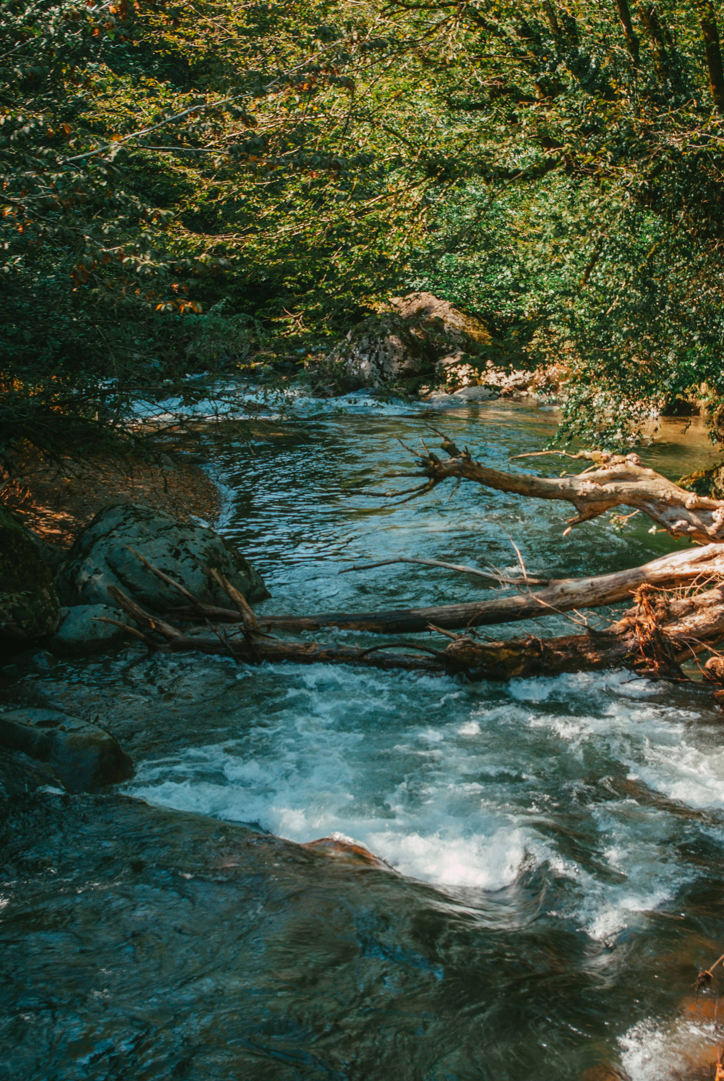 Photo by moonmoons_days