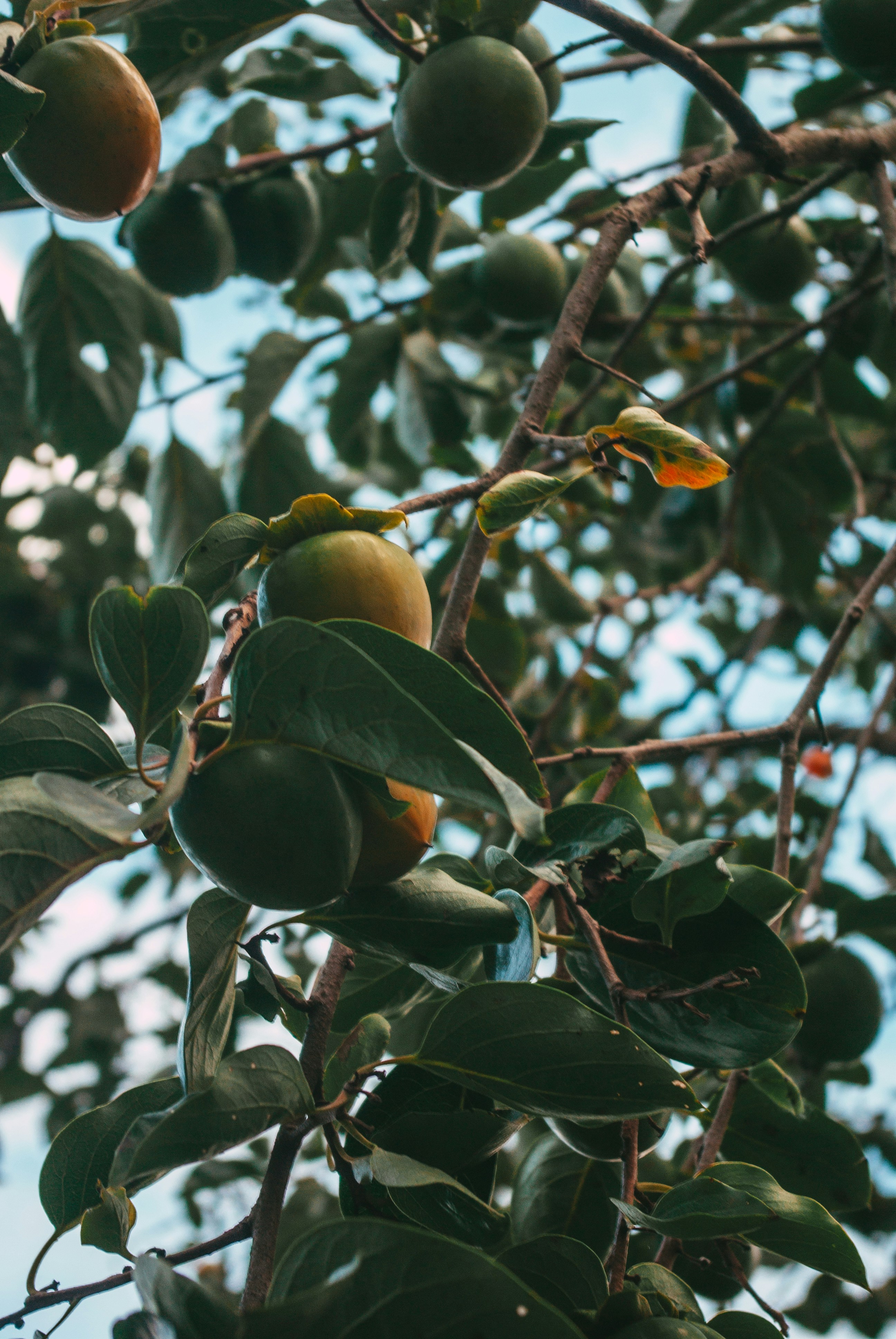 Photo by moonmoons_days