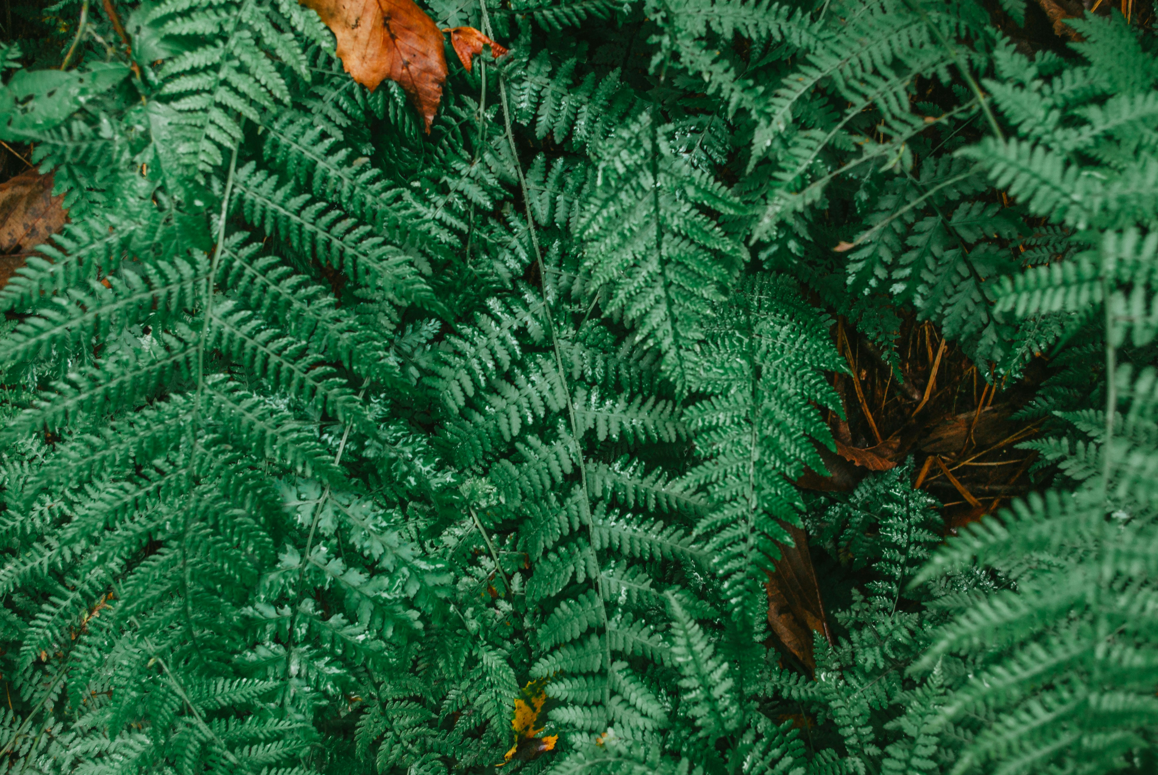 Photo by moonmoons_days