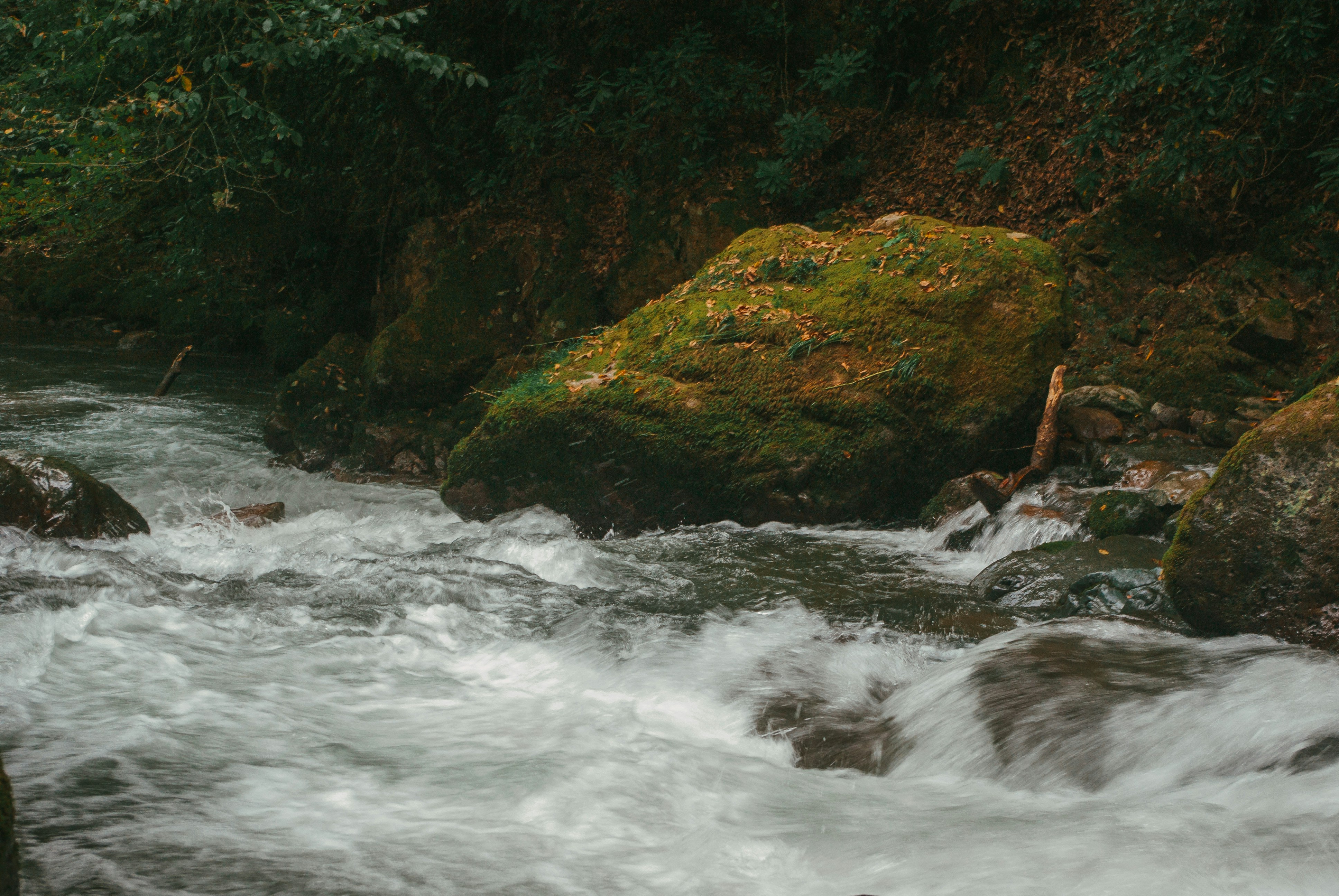 Photo by moonmoons_days