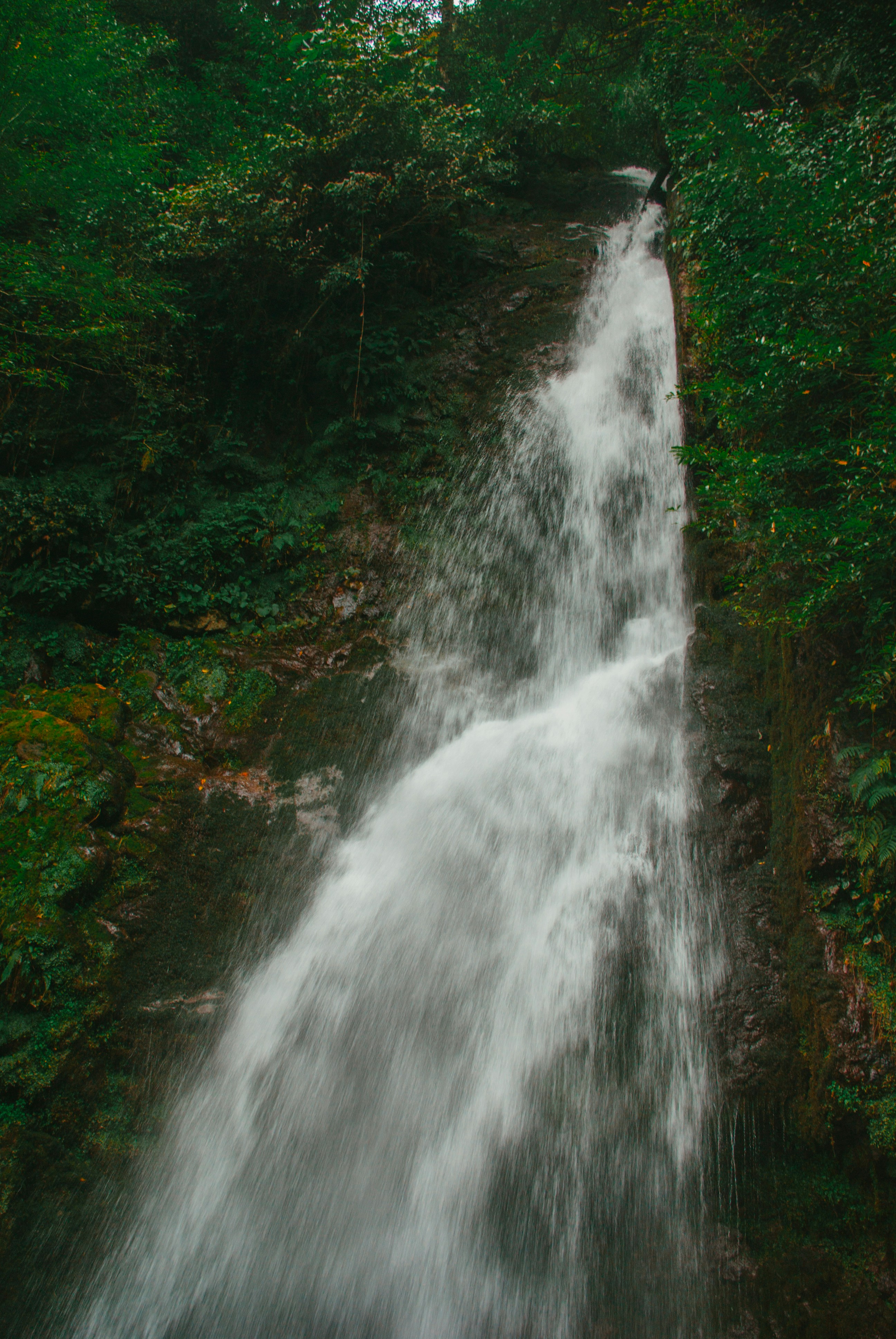 Photo by moonmoons_days