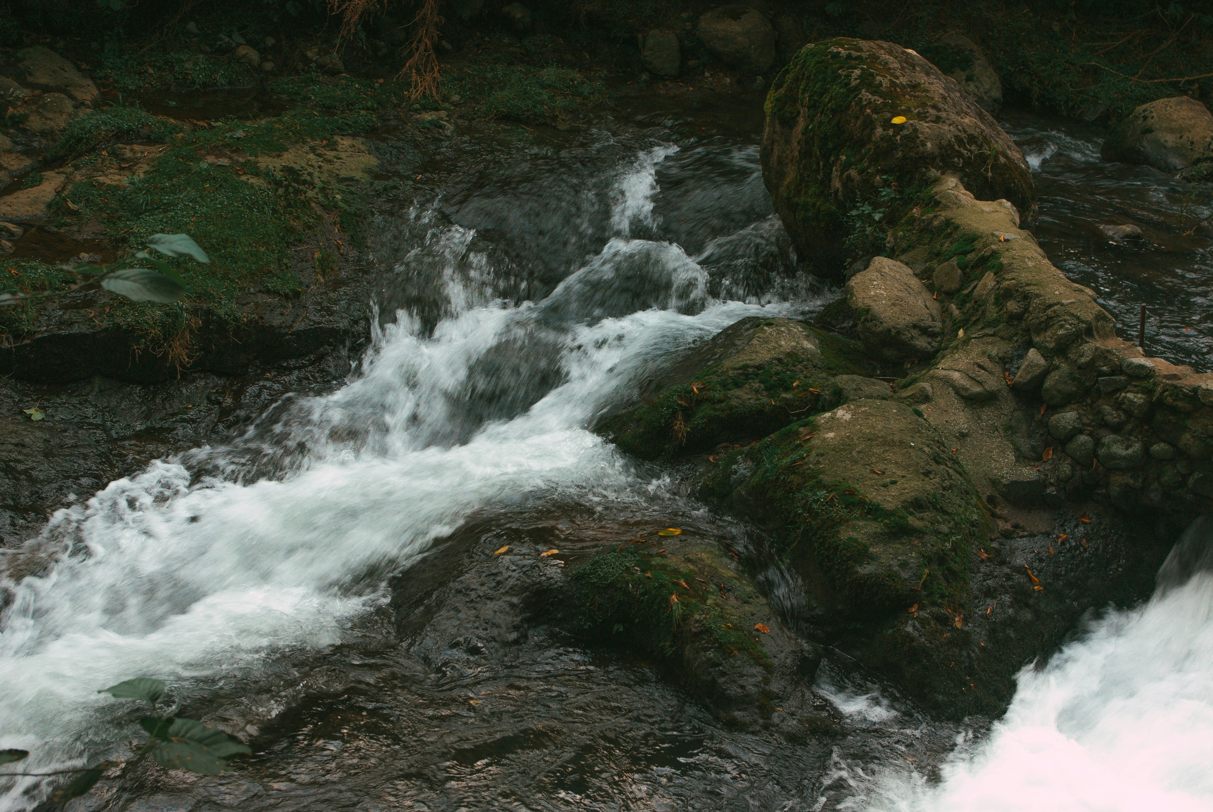 Photo by moonmoons_days