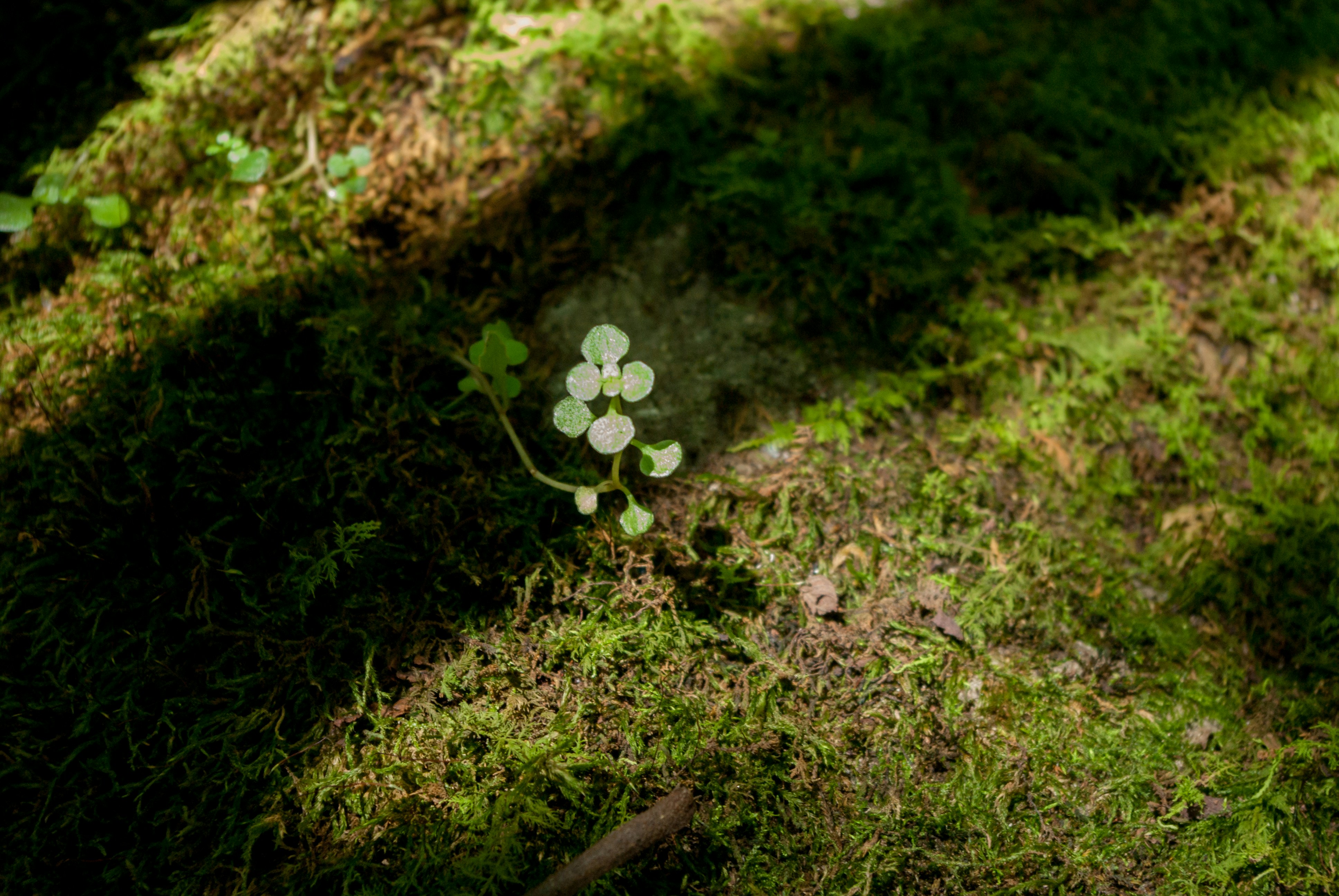 Photo by moonmoons_days