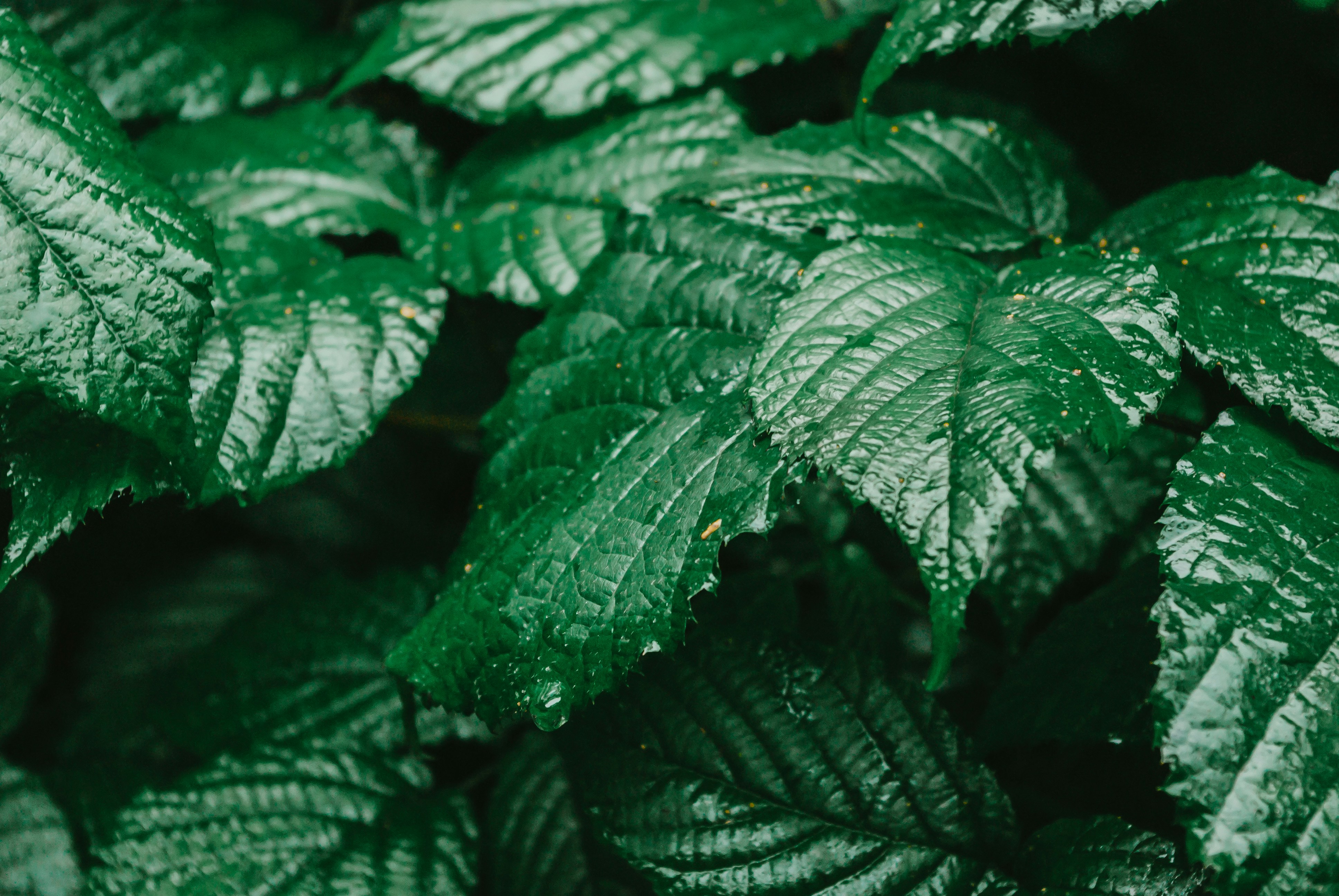 Photo by moonmoons_days