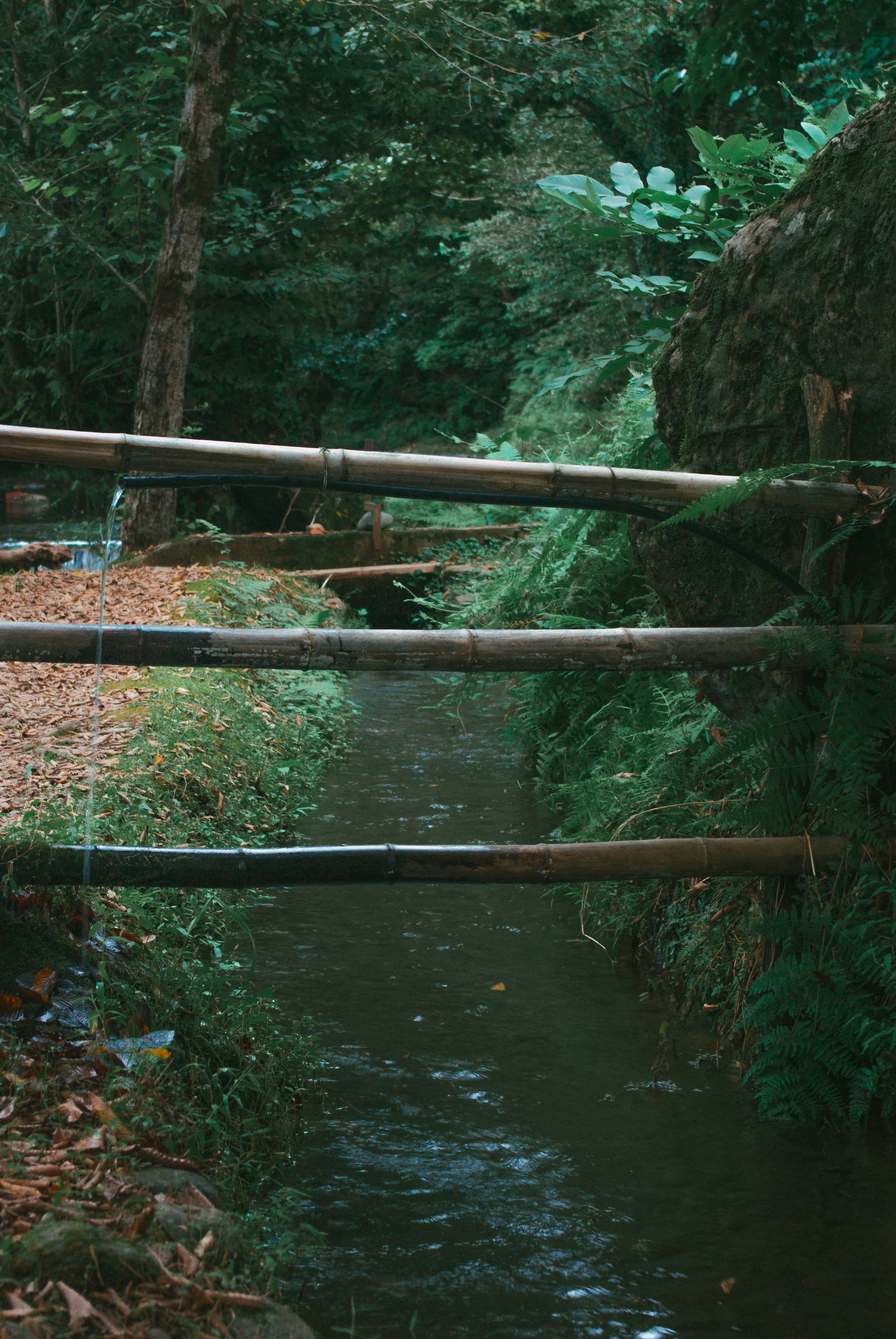 Photo by moonmoons_days