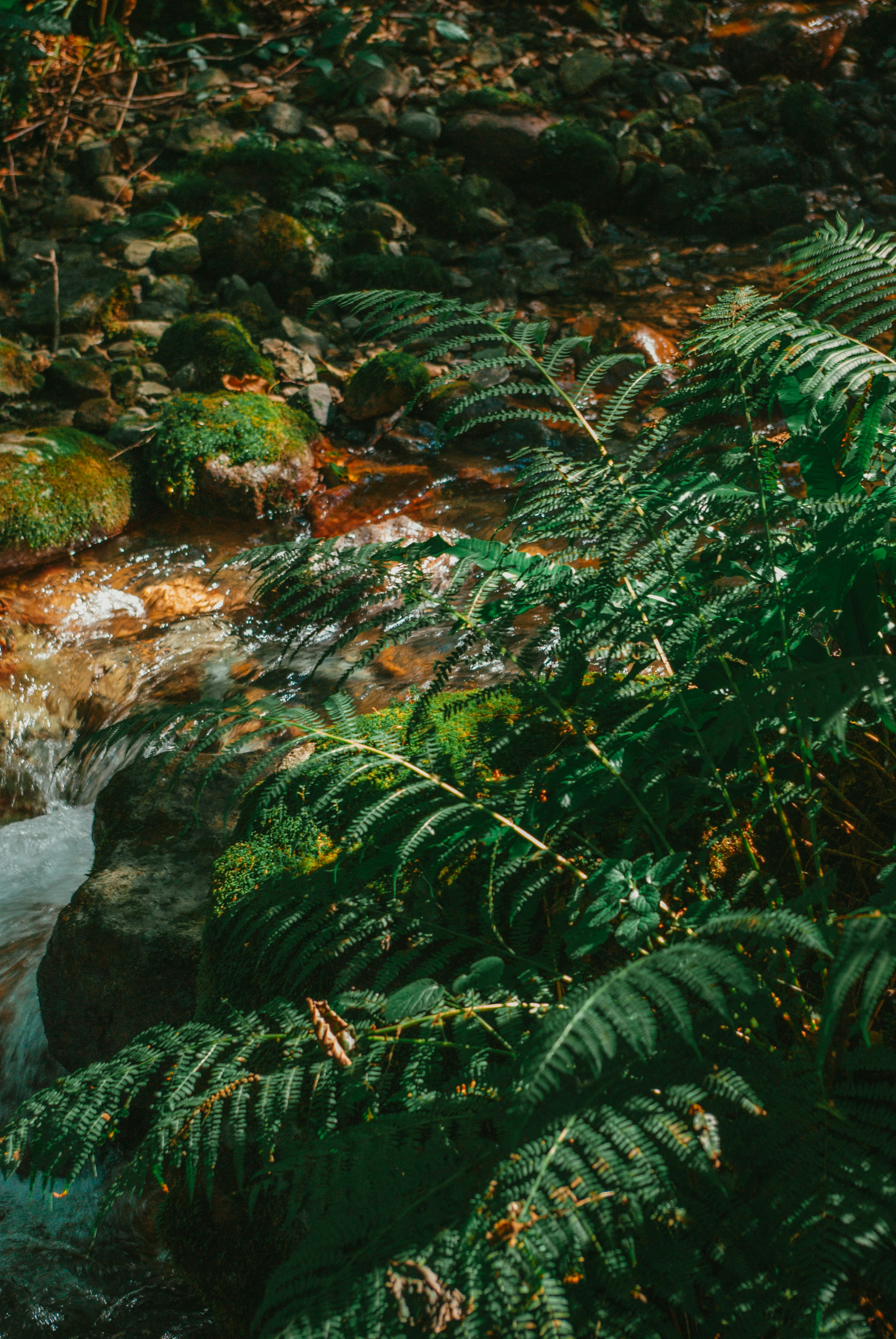 Photo by moonmoons_days