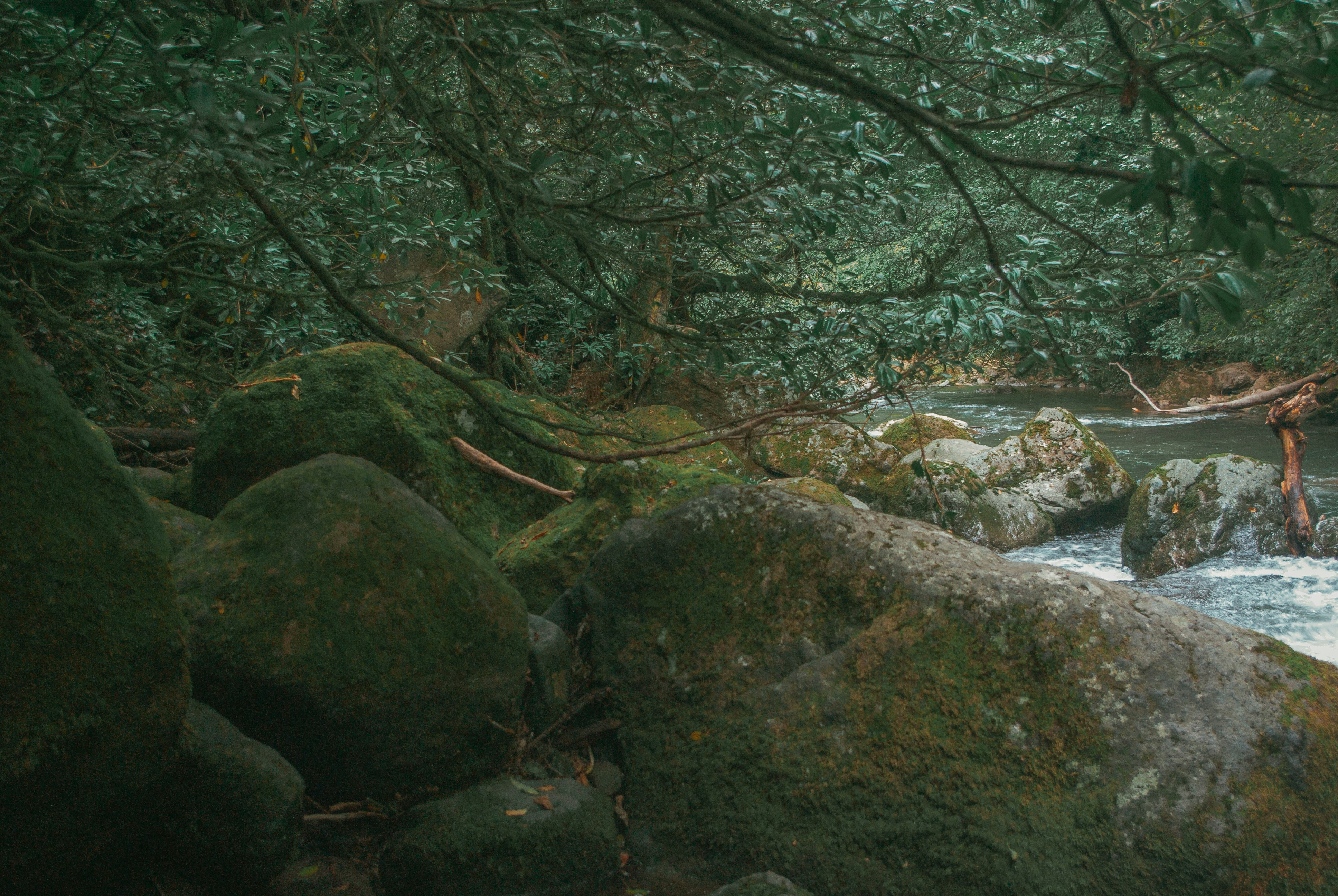 Photo by moonmoons_days