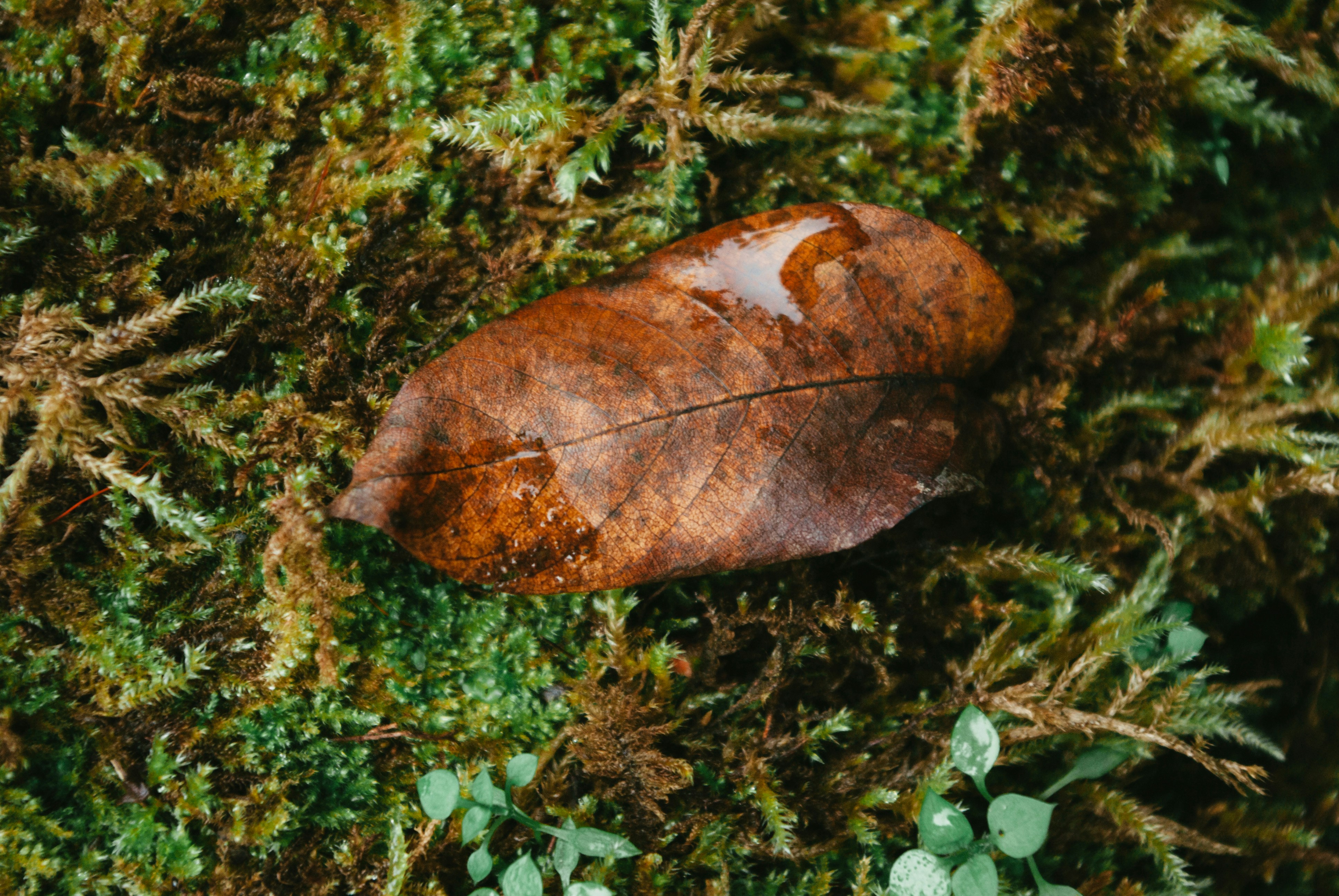 Photo by moonmoons_days