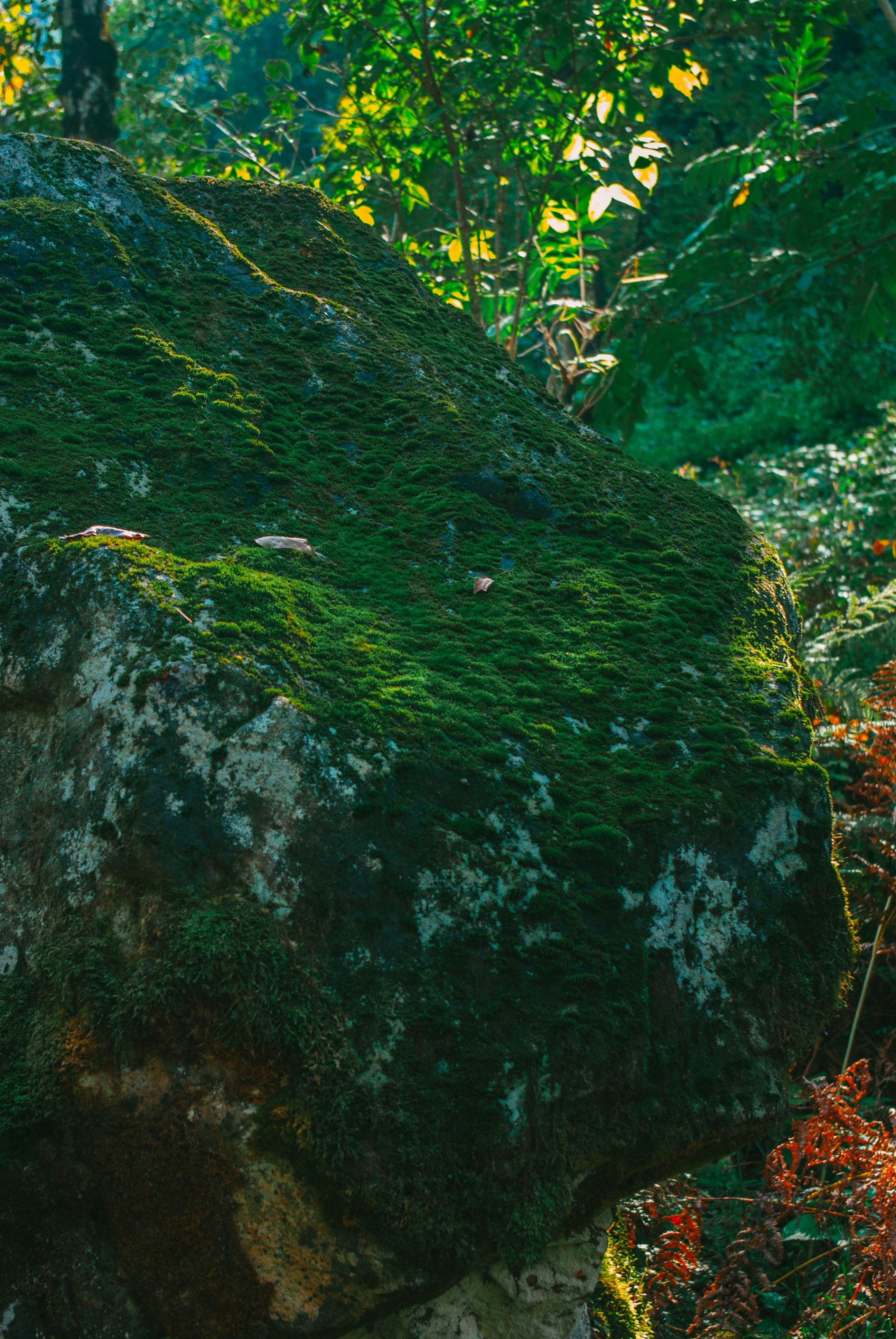 Photo by moonmoons_days