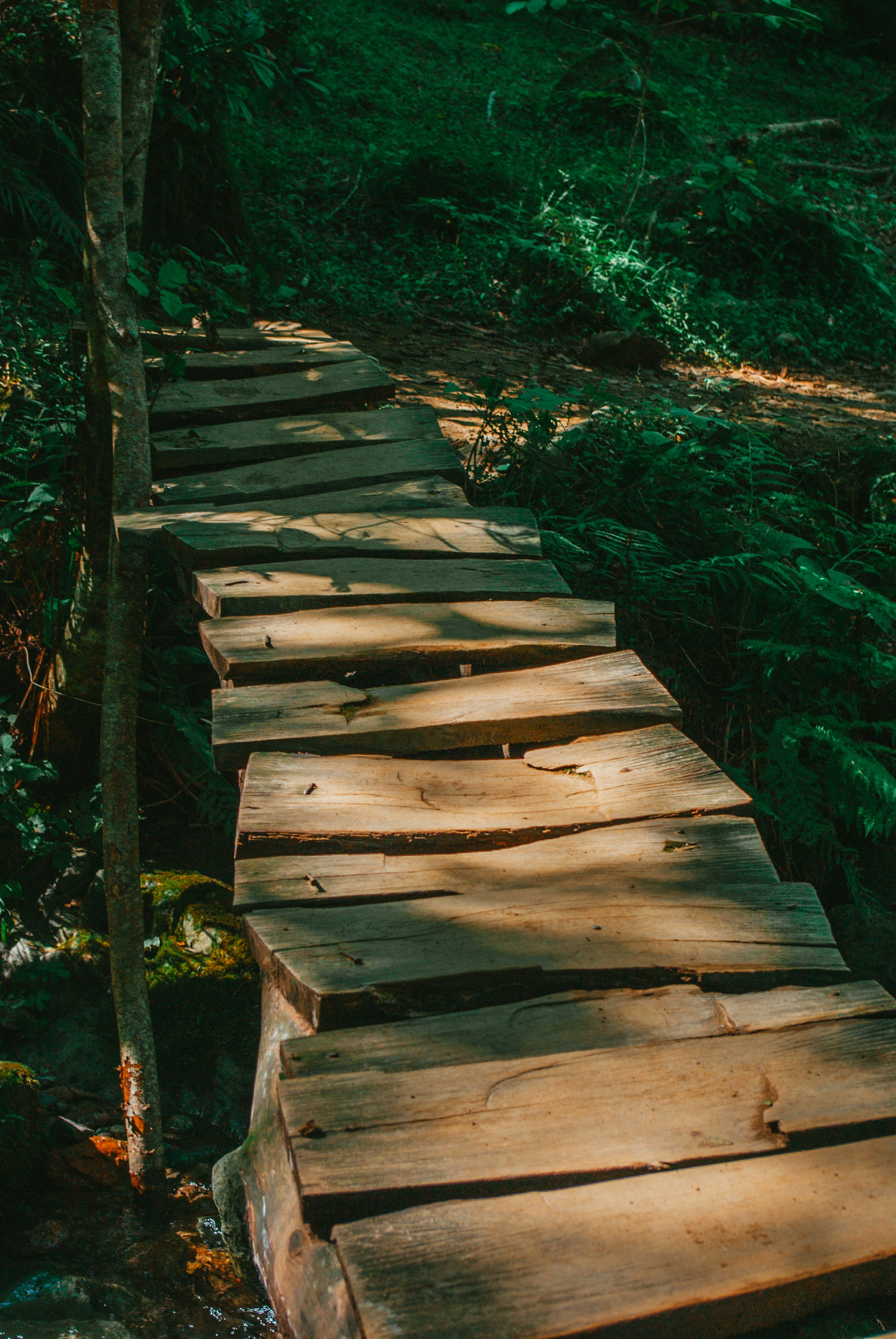 Photo by moonmoons_days