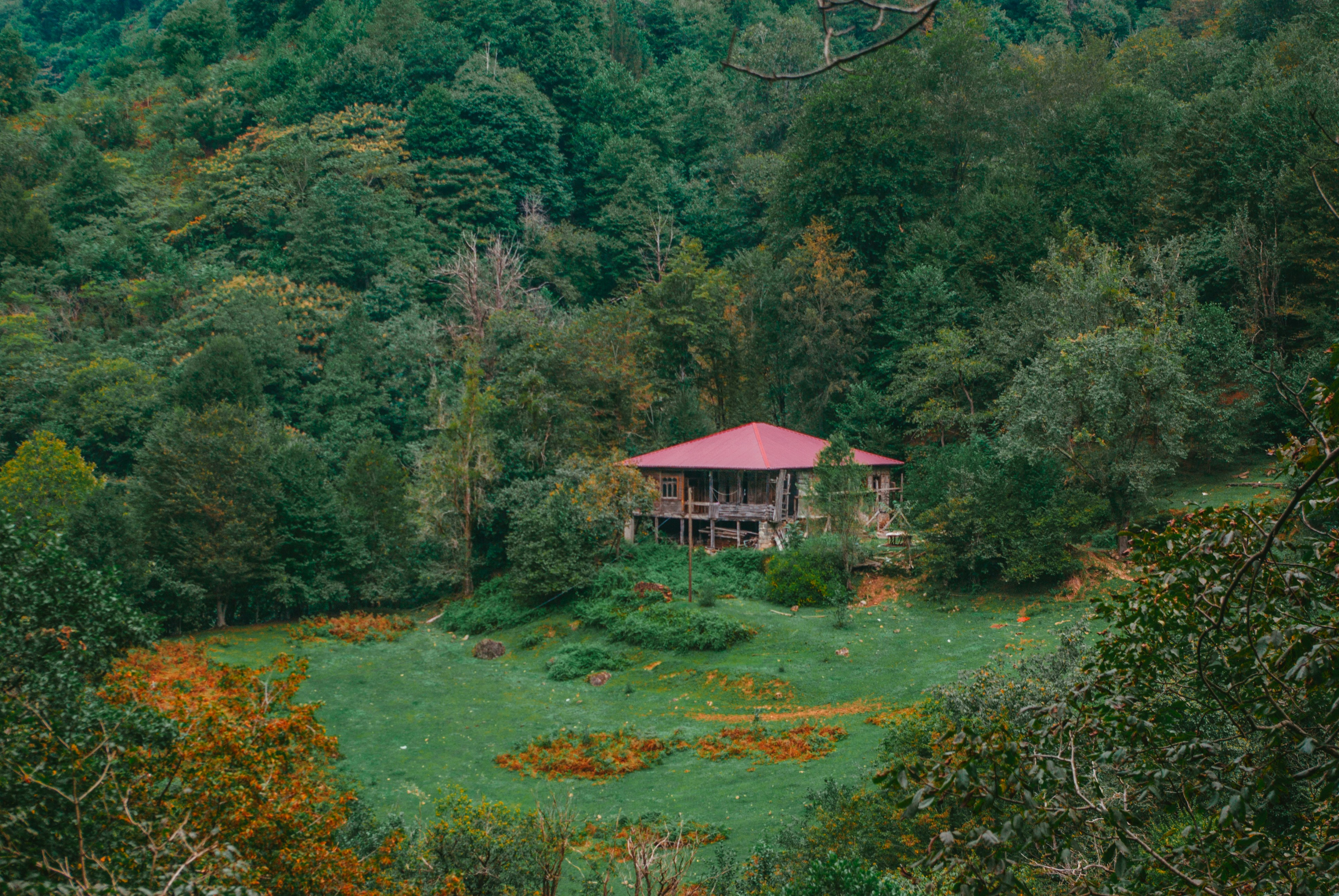 Photo by moonmoons_days