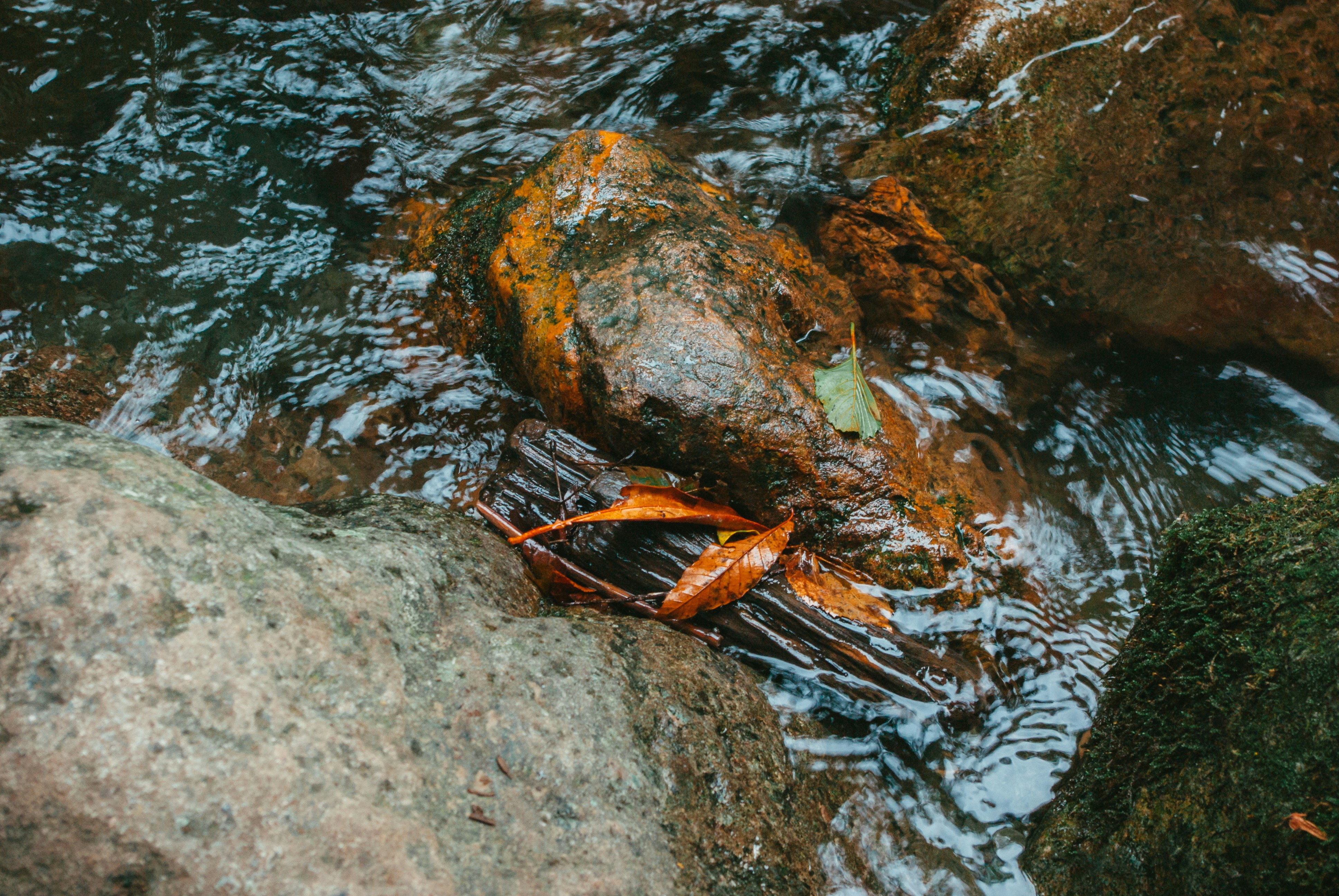 Photo by moonmoons_days