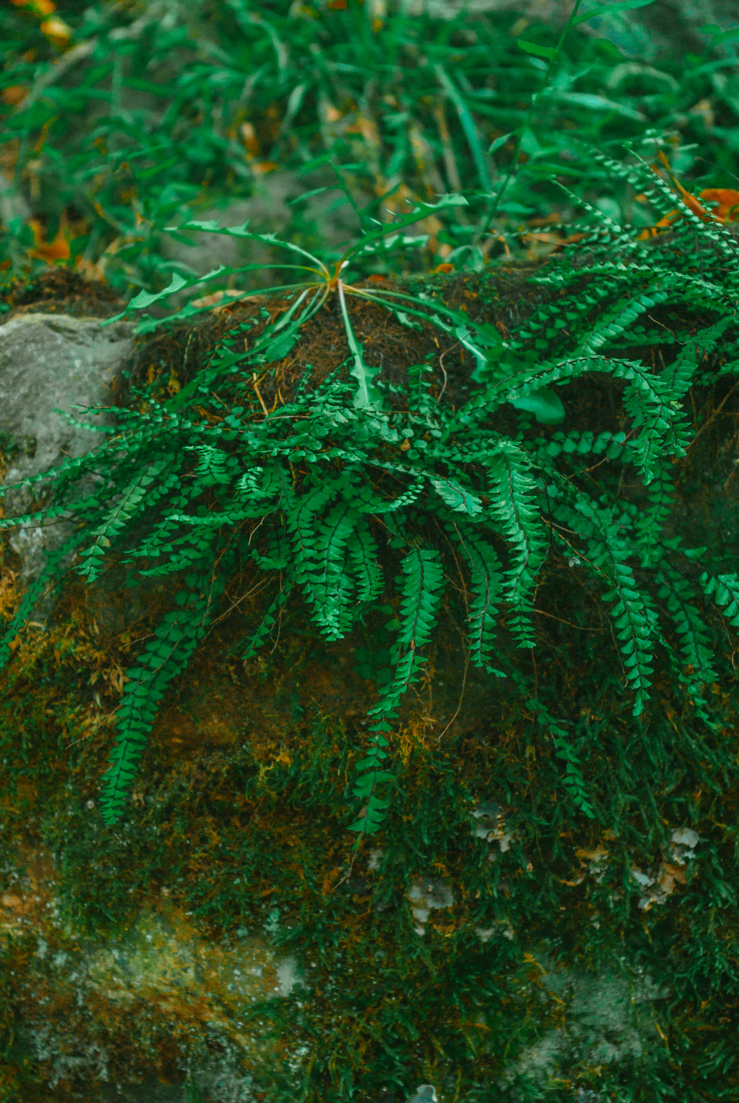 Photo by moonmoons_days