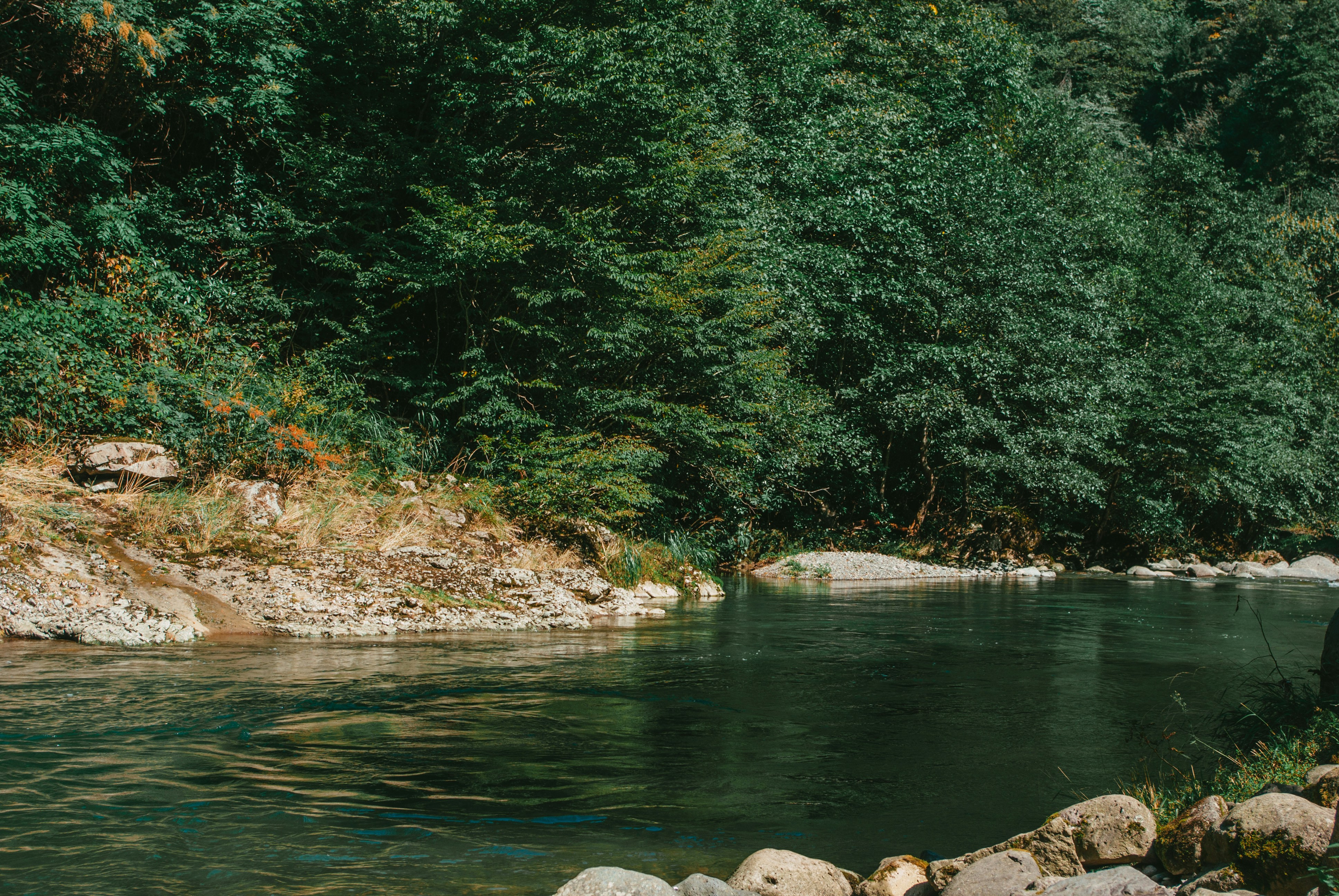 Photo by moonmoons_days