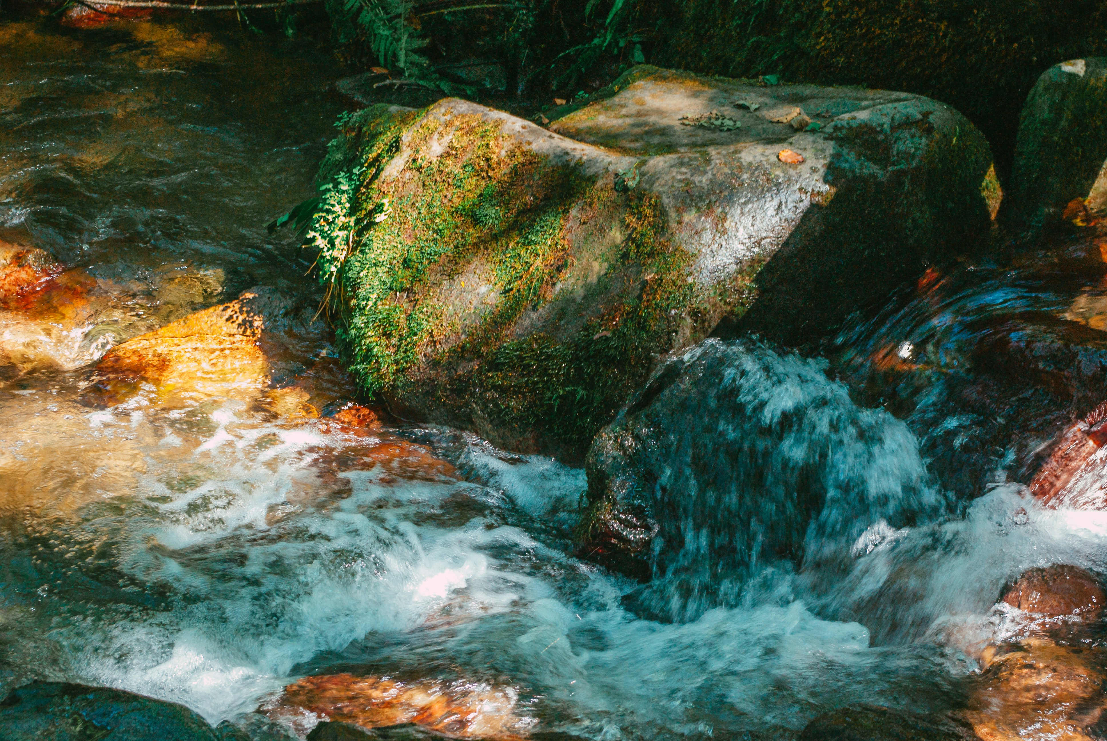 Photo by moonmoons_days